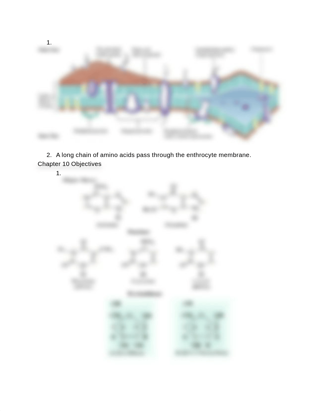 Biochem test 3 objectives - Chapter 14-17_d3b3ffffjiz_page3