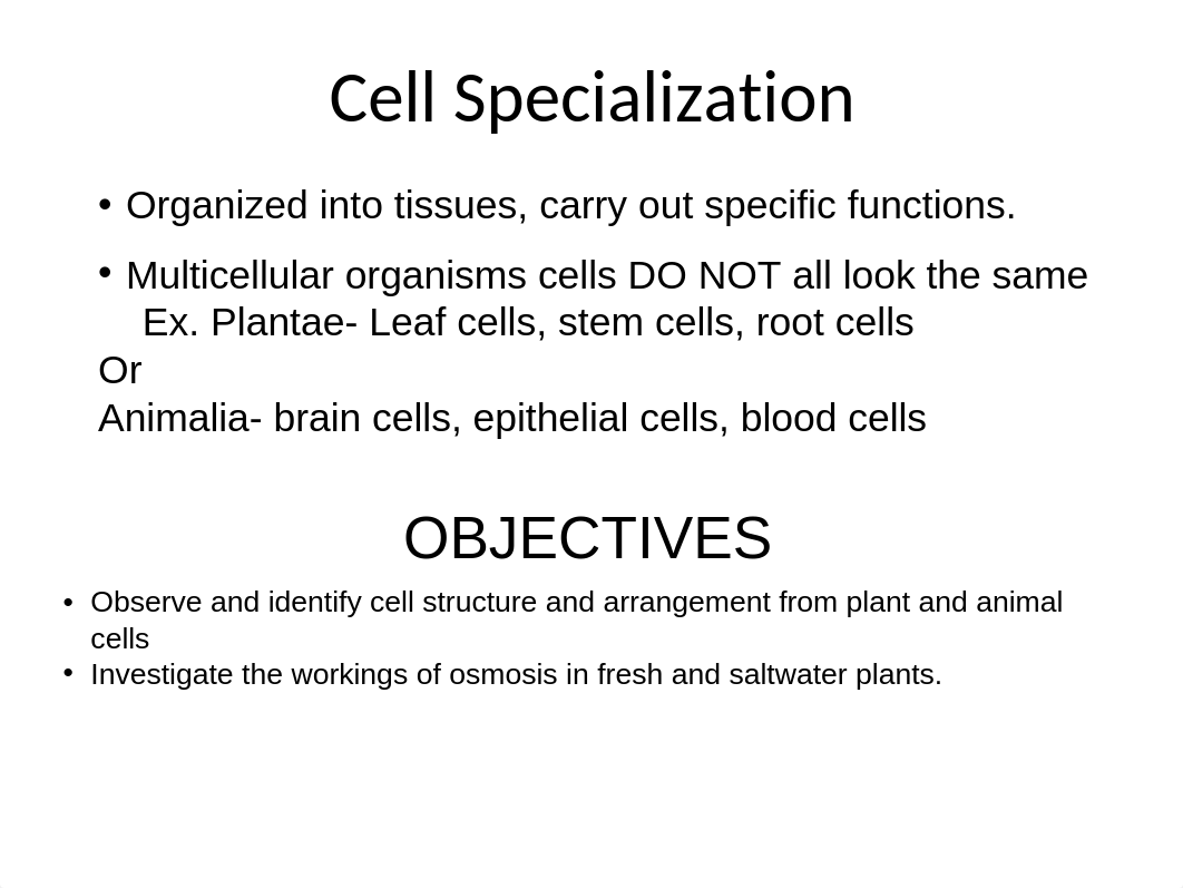 Lab 7 Kingdom Plantae & Animalia-b_d3ba4vbvliz_page3