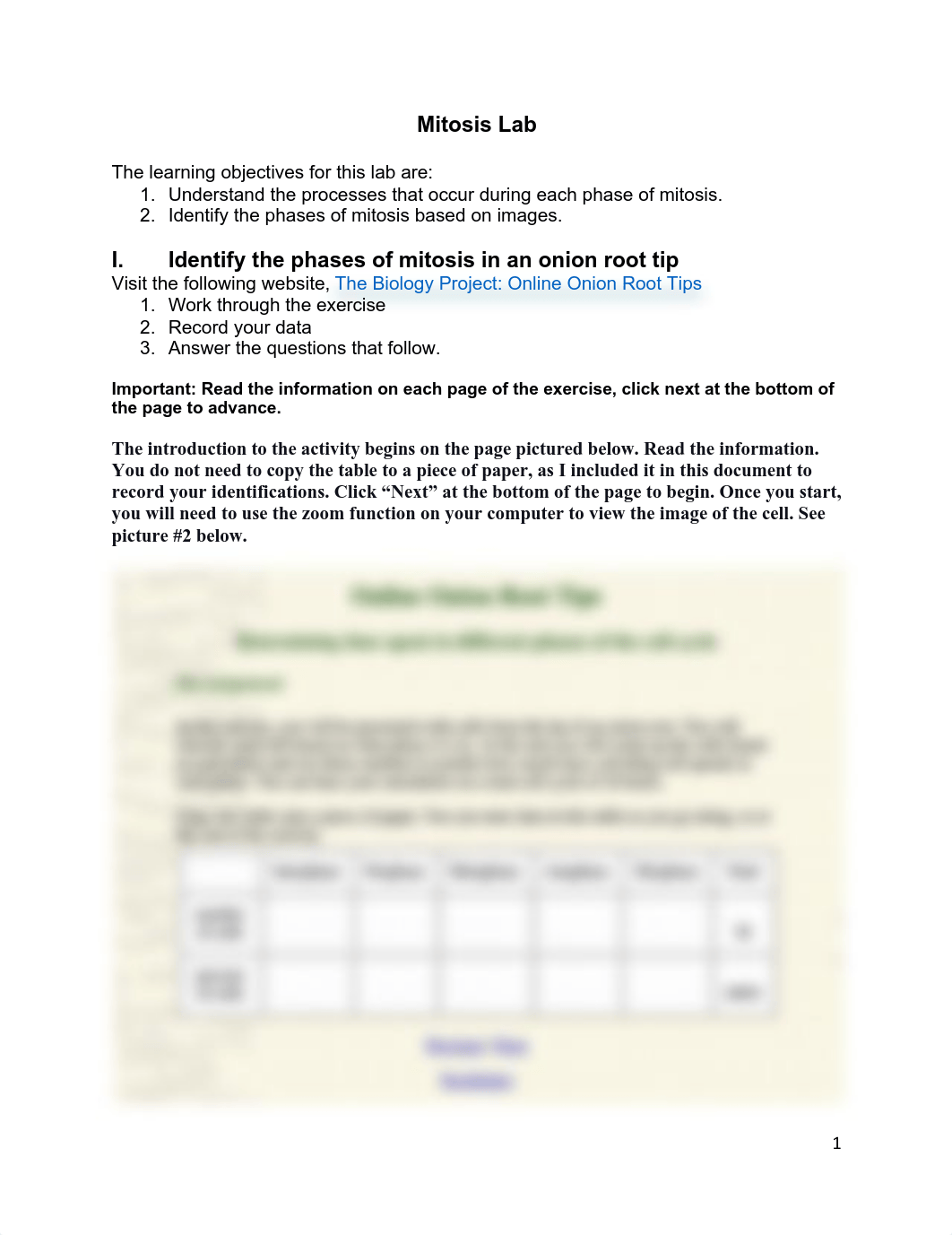 Mitosis Assignment.pdf_d3bjio1rjat_page1