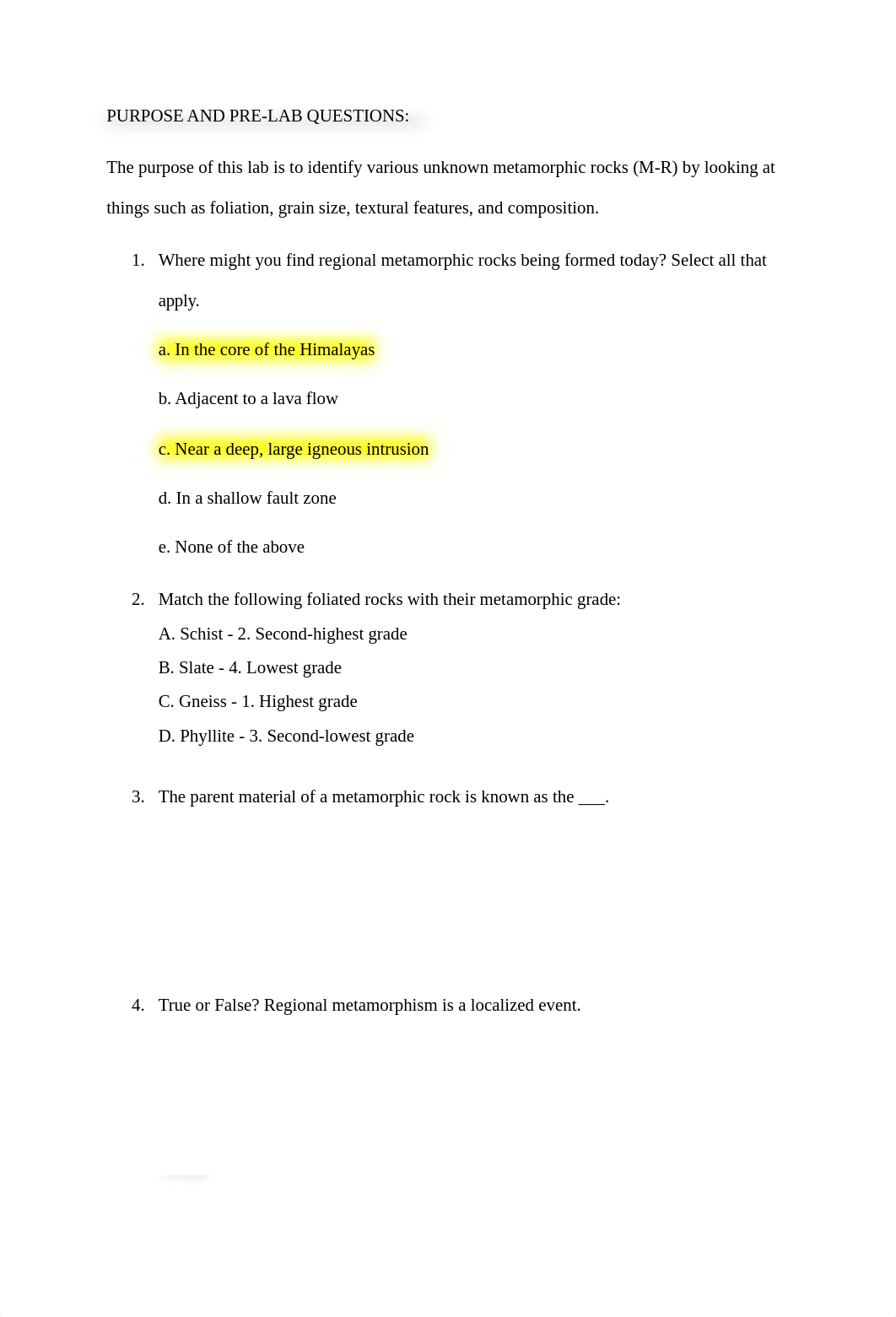 Lab 4 - Metamorphic Rock Identification.docx_d3bnxfulb3a_page2