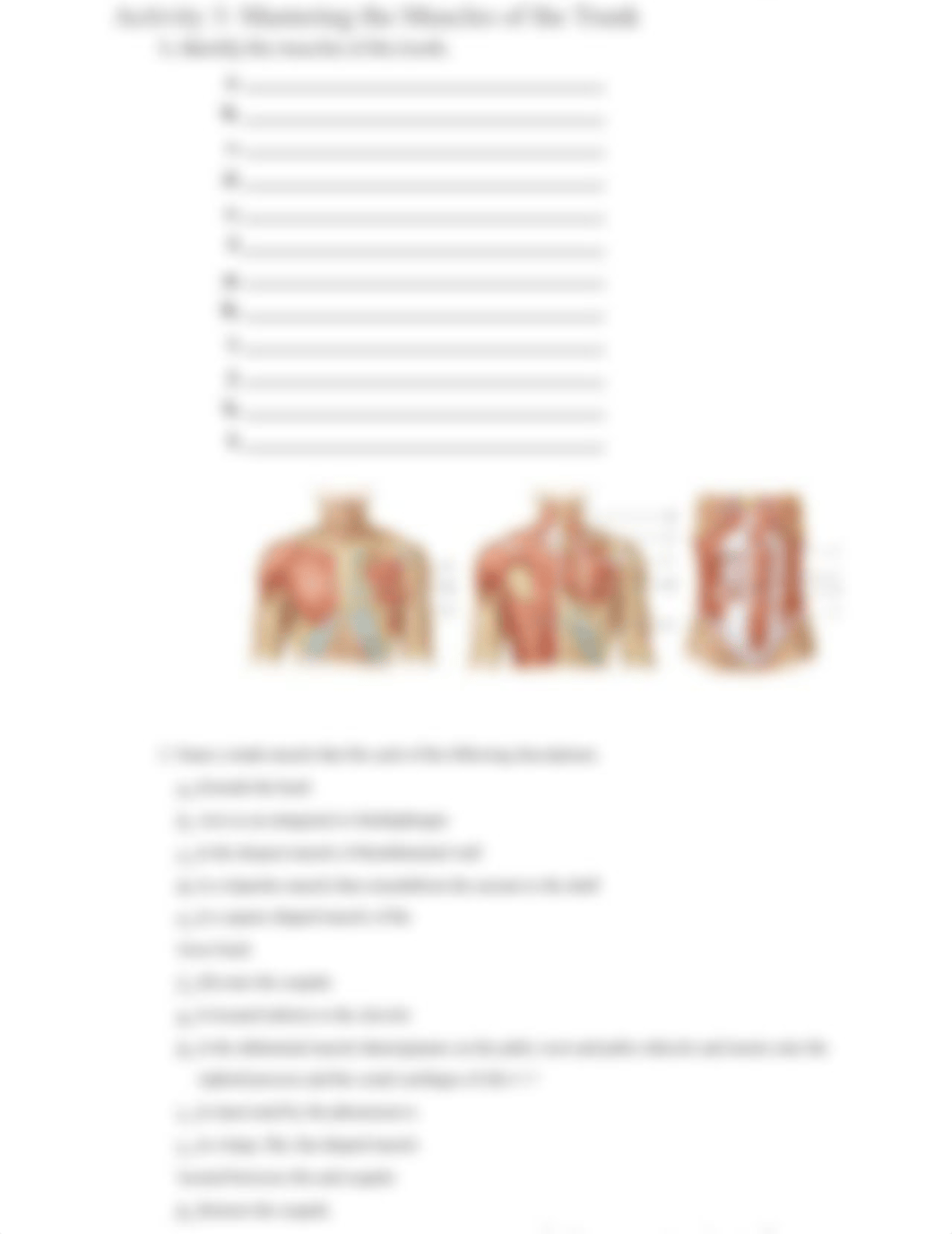 Muscular System Lab Simulation Worksheet Fillable.docx_d3bzzpeuu37_page3