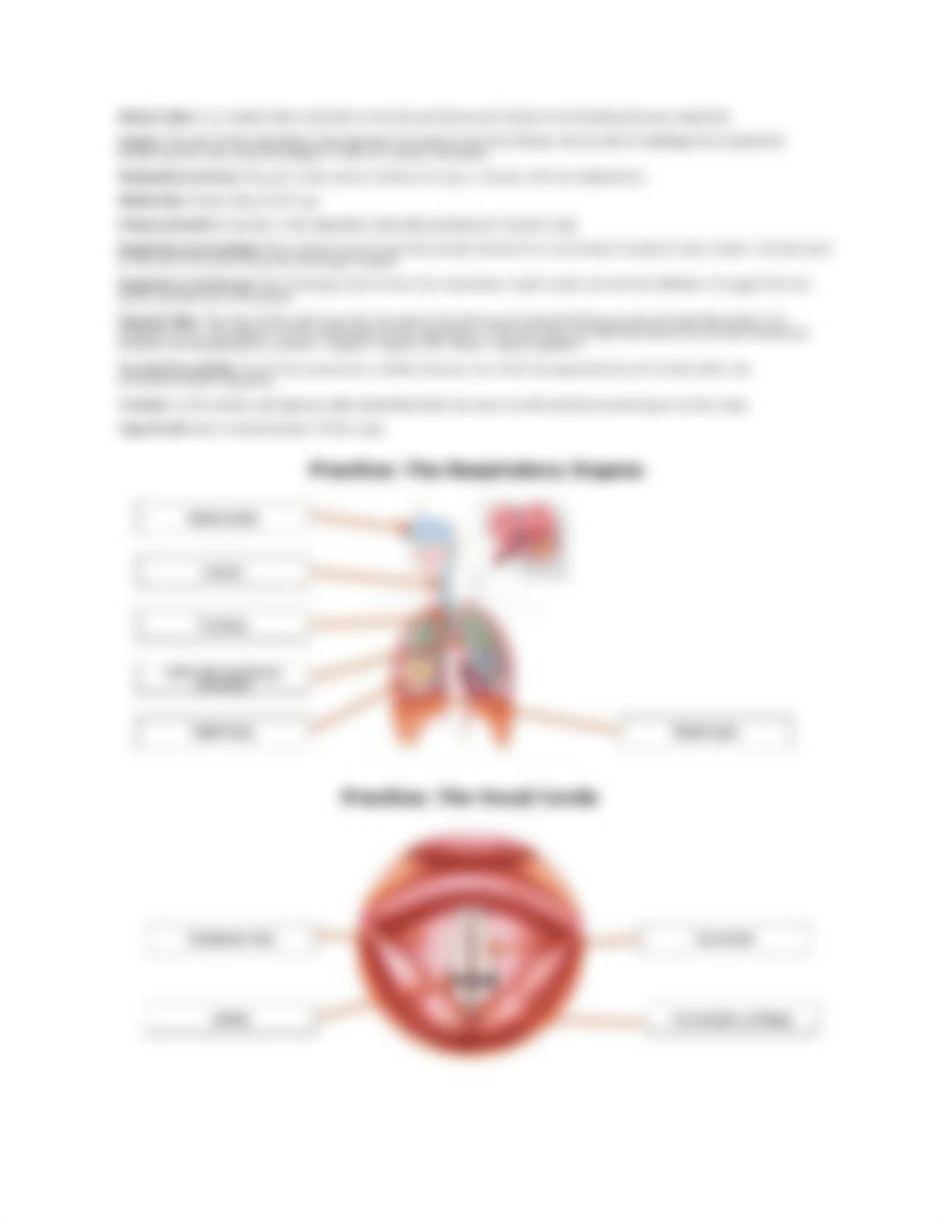 Module 3 Lab 1.doc_d3c2ubqini5_page2