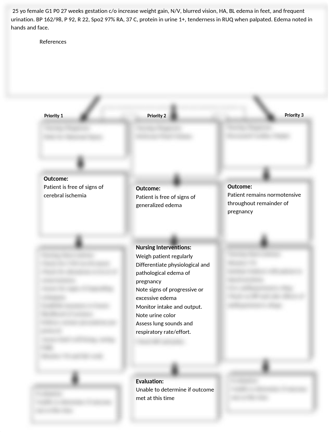 Care plan pre eclampsia.docx_d3c6fzofjmi_page1