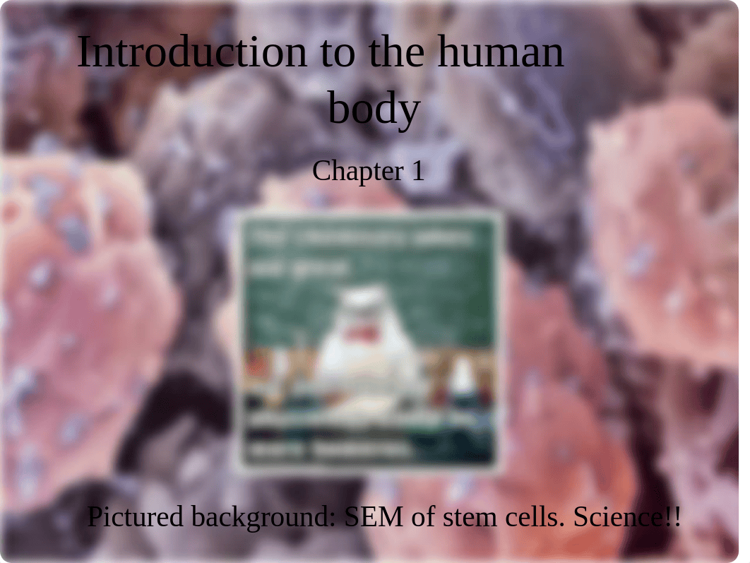 Ch 1 Introduction to the human body - WITH NOTES.pptx_d3c8wuamo3n_page1