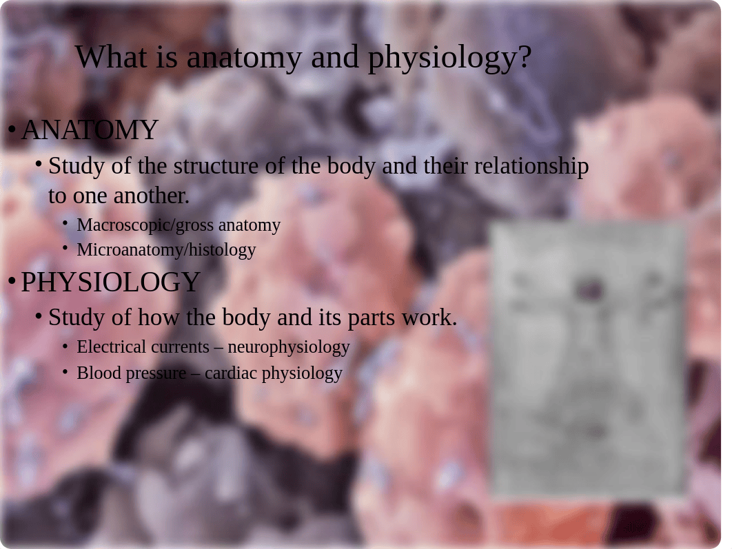 Ch 1 Introduction to the human body - WITH NOTES.pptx_d3c8wuamo3n_page3