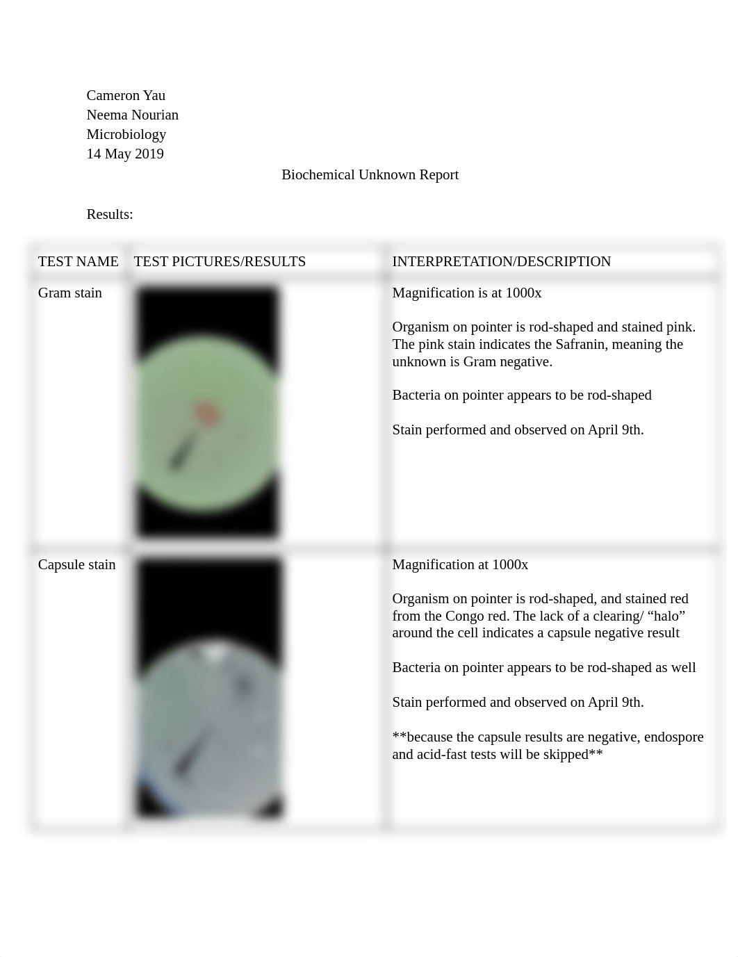 biochemical morph report.pdf_d3cf36nngdn_page1