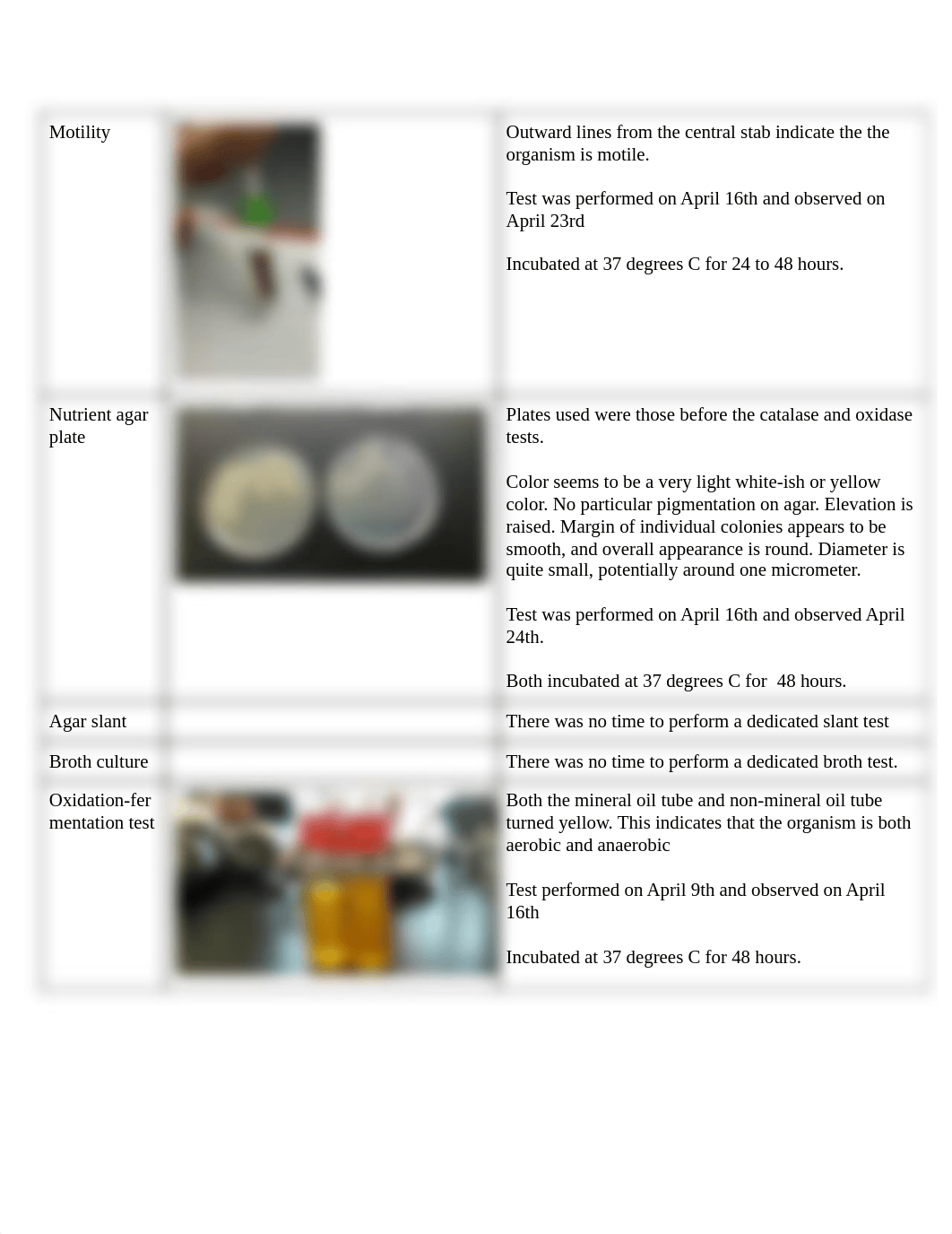 biochemical morph report.pdf_d3cf36nngdn_page2