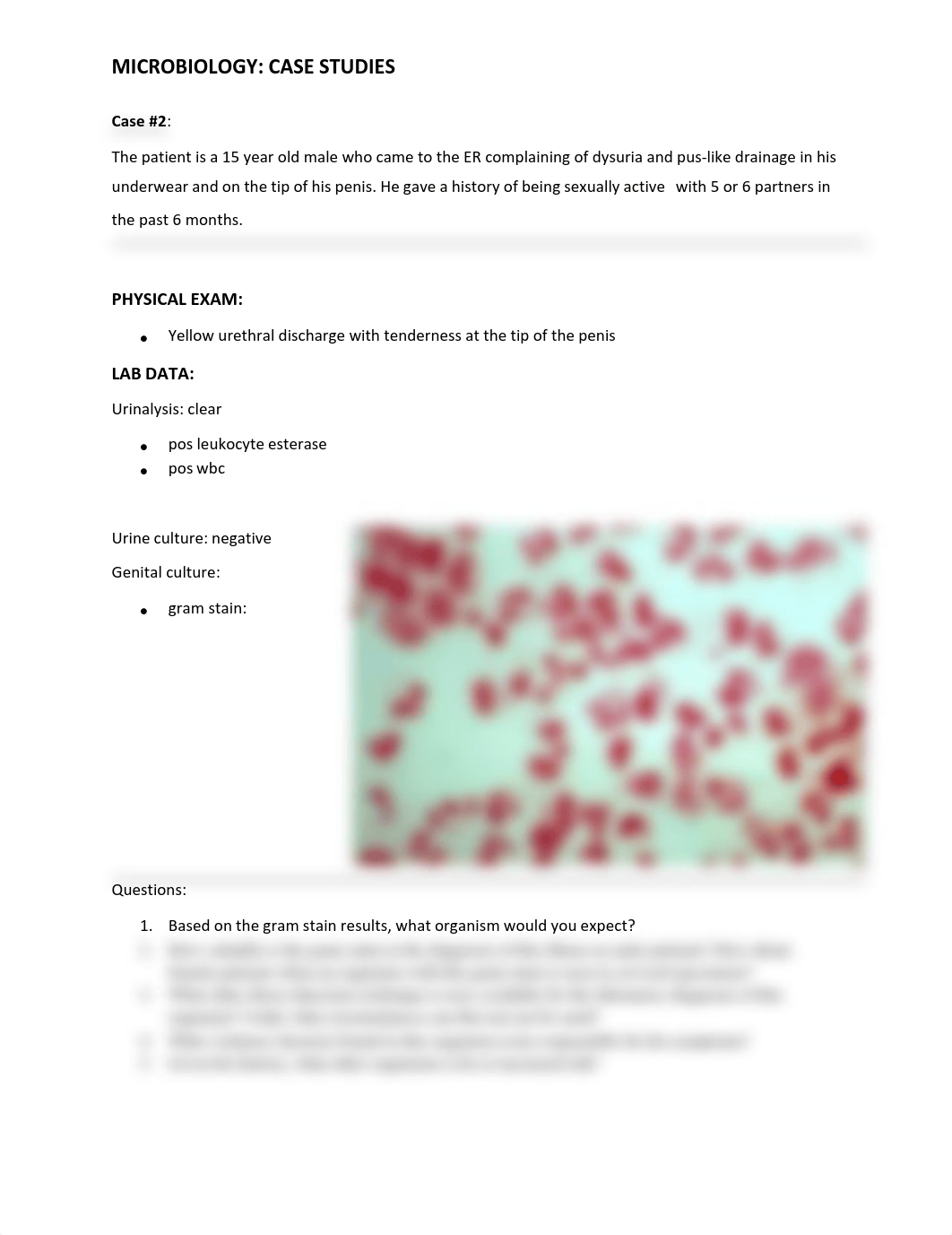 Case #2 (2).pdf_d3cib69wbhs_page1