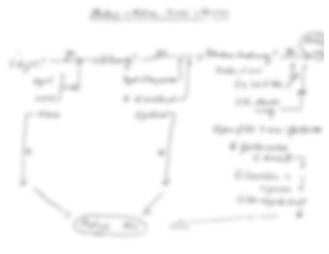 marbury v madison flow chart.pdf_d3cj5qq8icu_page1