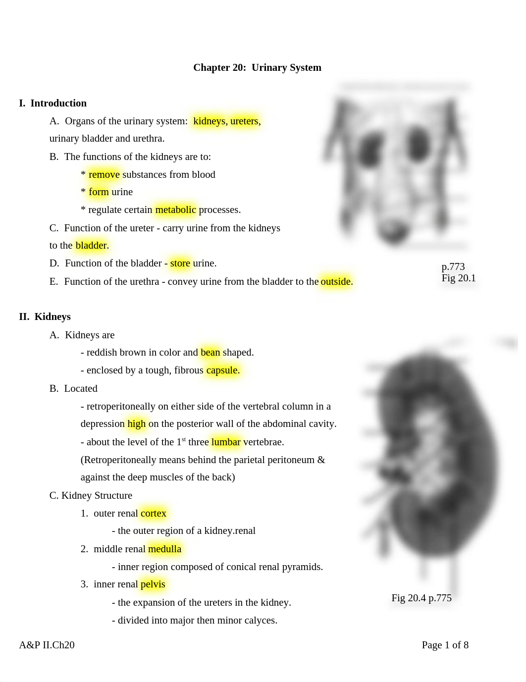 ch20_d3cja8bj22e_page1