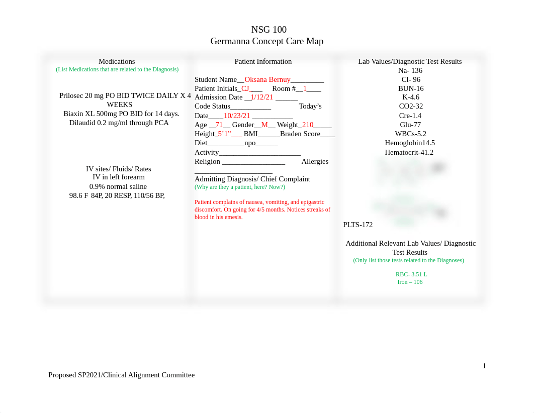 NSG 100 Concept Care Map Sp21.docx_d3cqed7g4oi_page1