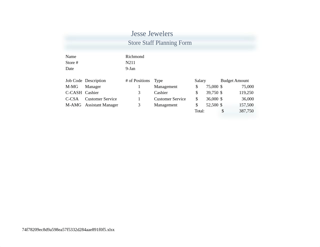 4G_Loan_Staff_Form Solution.xlsx_d3cqtr7v54x_page3