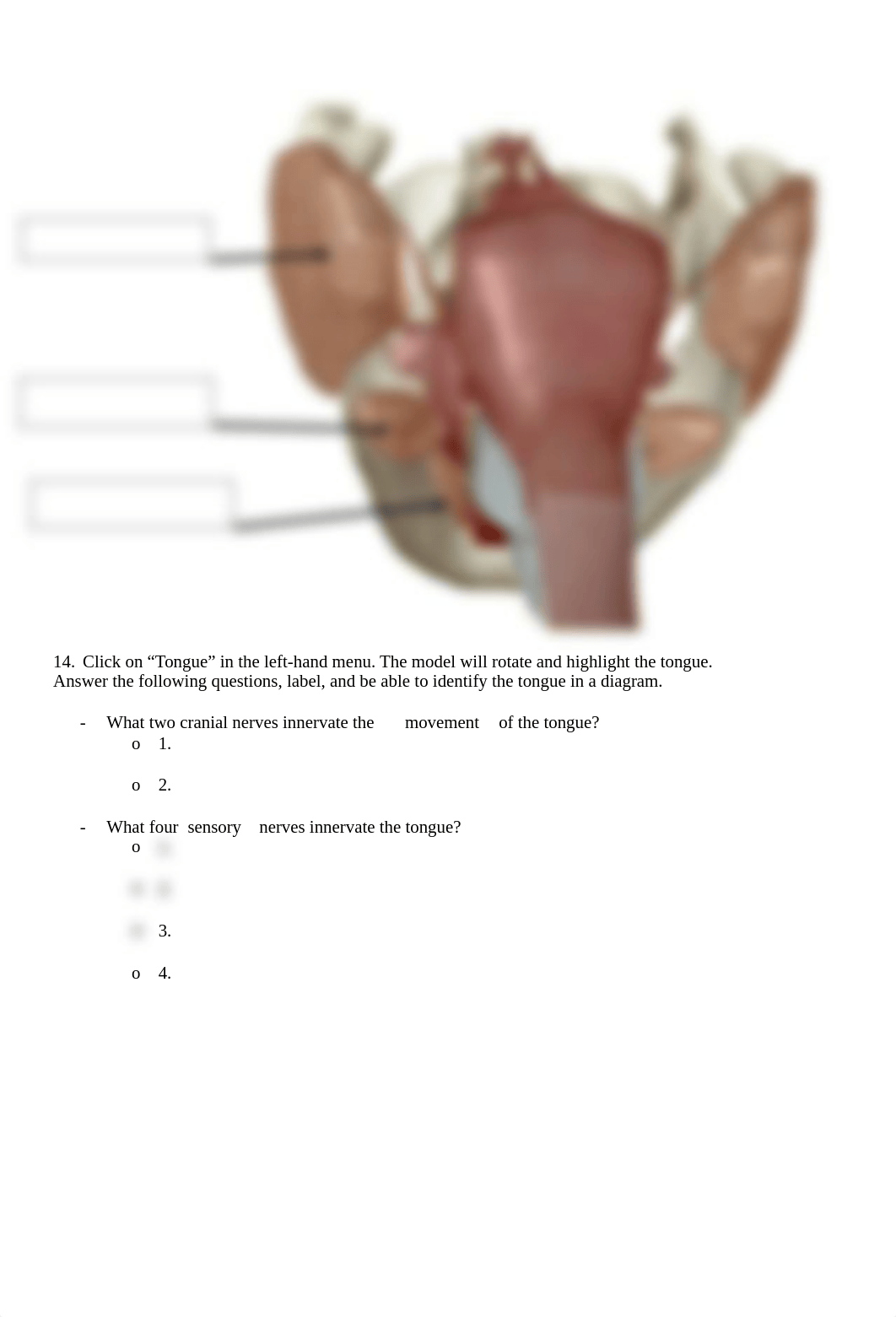 BIO 211 Lab 7 Online Lab Activity YTC Complete.docx_d3cqw9d0obr_page4