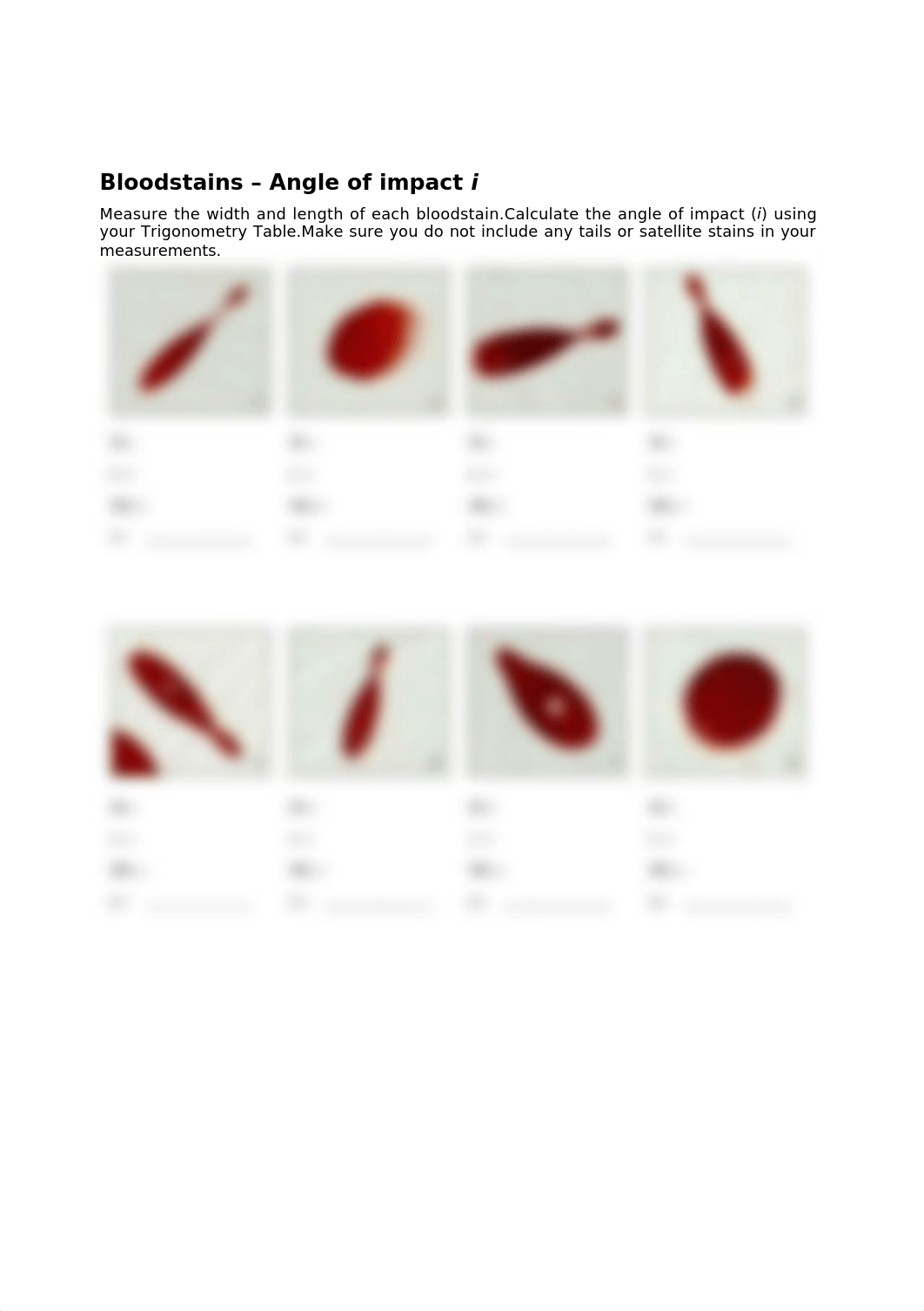 blood spatter calculations worksheet with link.doc_d3crgkicp68_page3