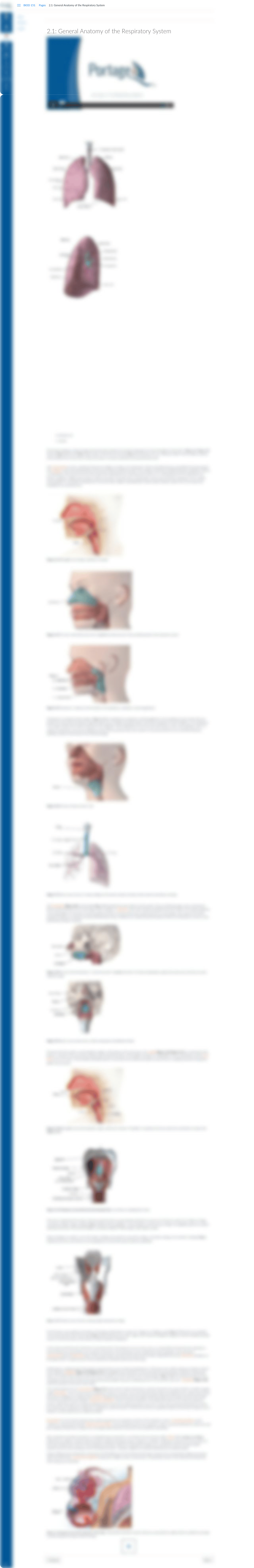 2.1: General Anatomy of the Respiratory System: Essential Human Anatomy and Physiology I with Lab- K_d3ctosjslny_page1