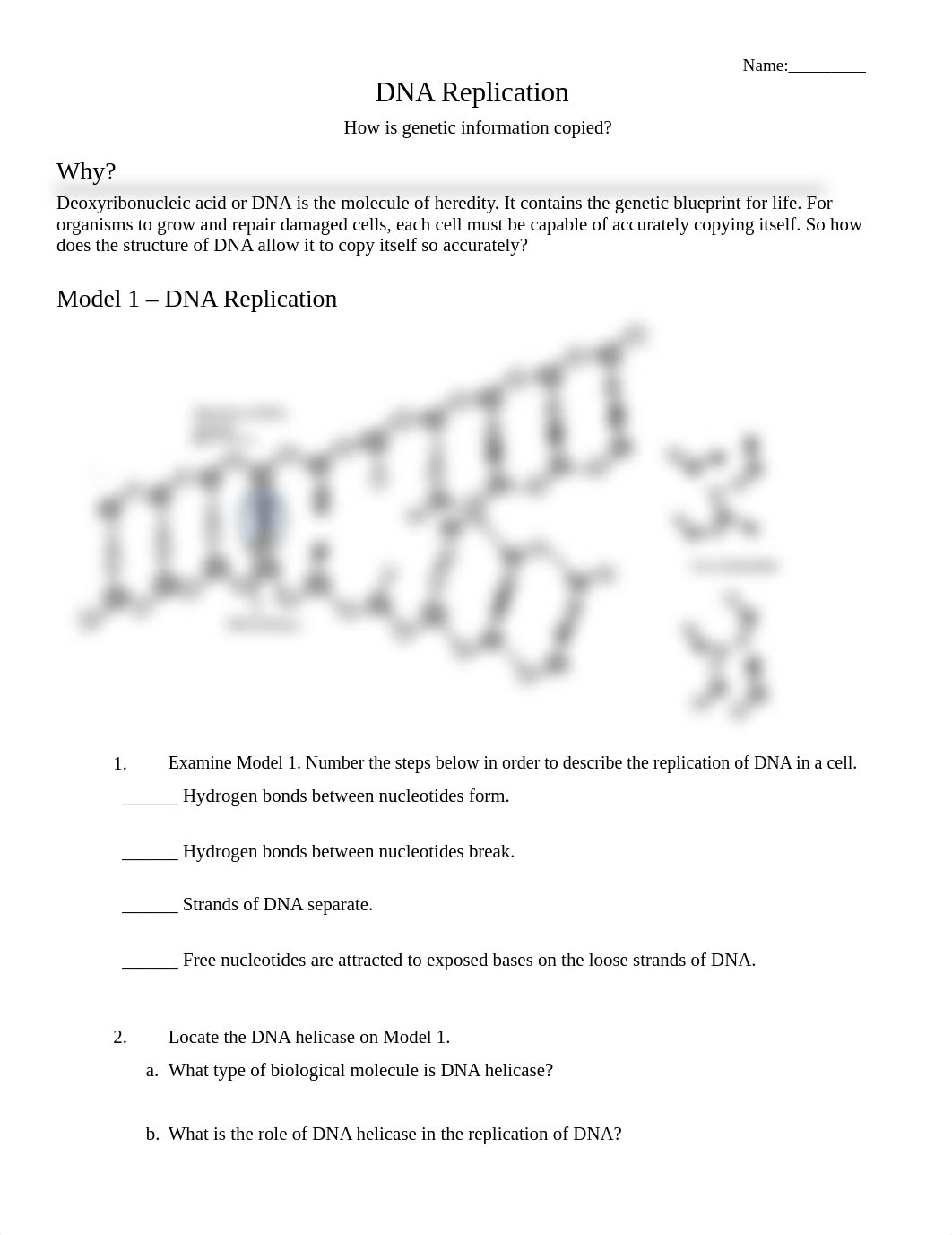 POGIL- DNA Replication ONLY.rtf_d3cvvom16qx_page1