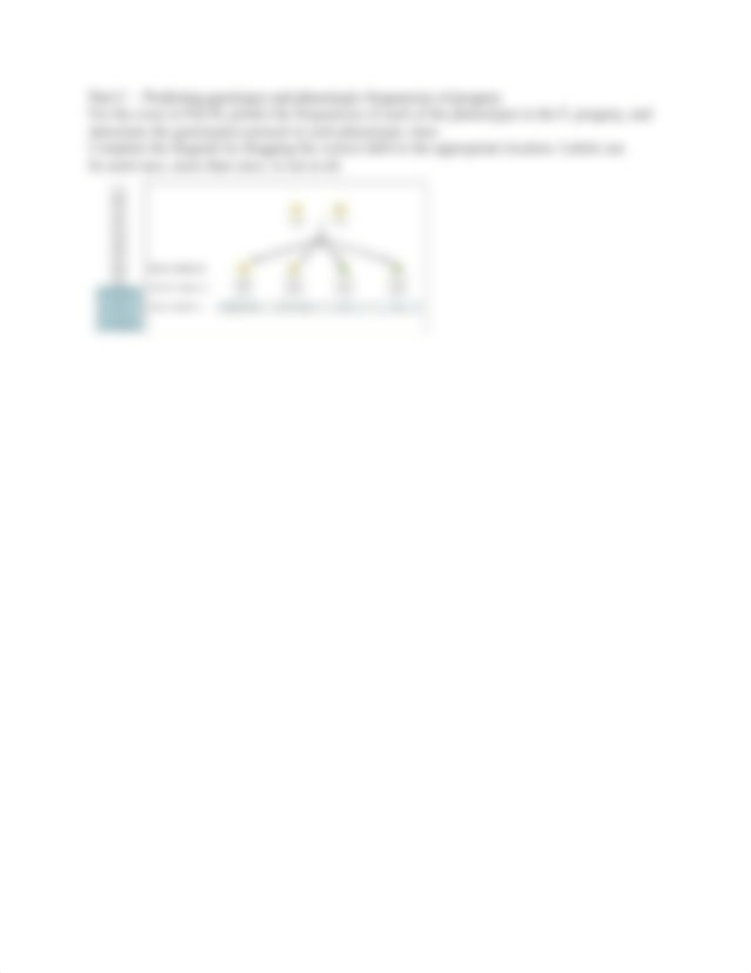 Mendel's Law of Independent Assortment_d3cw9rksdwc_page2