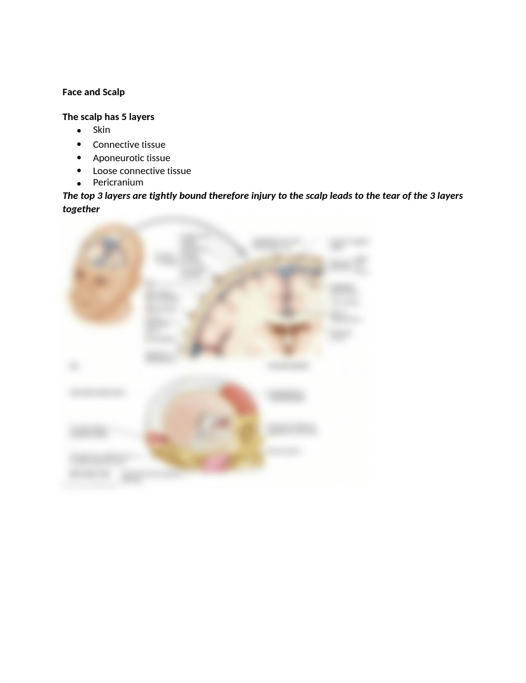 4. Face and Scalp.docx_d3d1avb8xdb_page1