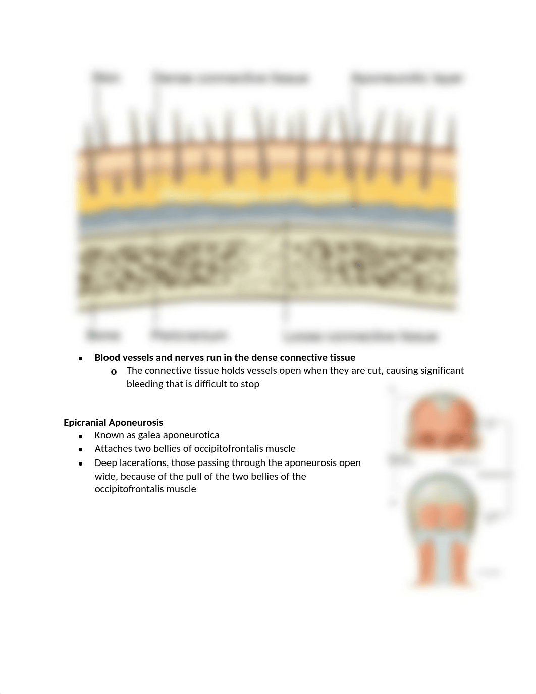 4. Face and Scalp.docx_d3d1avb8xdb_page2