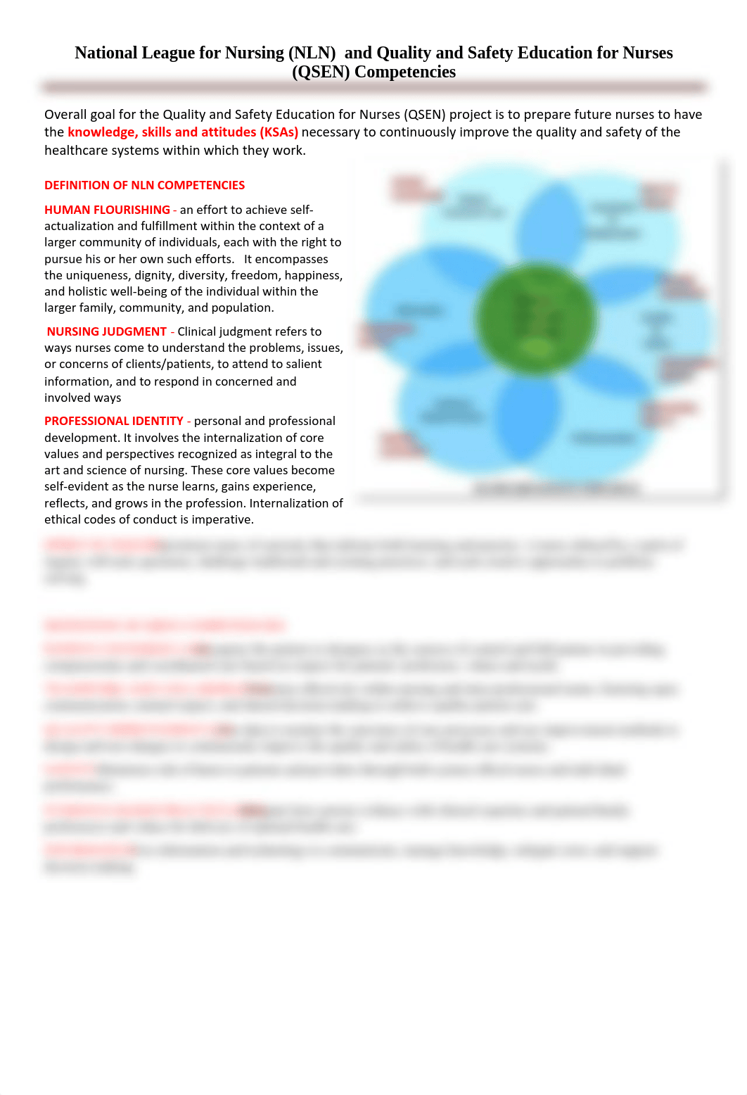 1.2  QSEN  NLN competencies.pdf_d3danbelfj0_page1