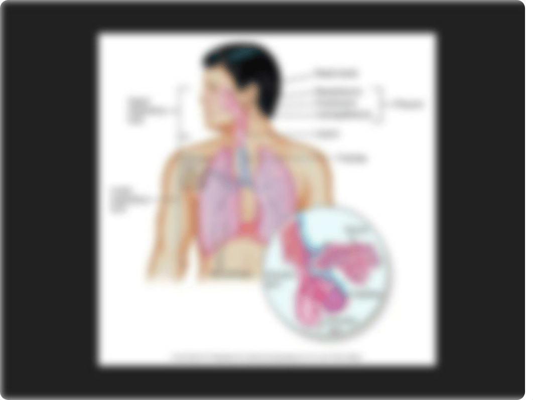 STUDENT A&P Oxygen Delivery Systems (1).pptx_d3db2m2bei2_page5