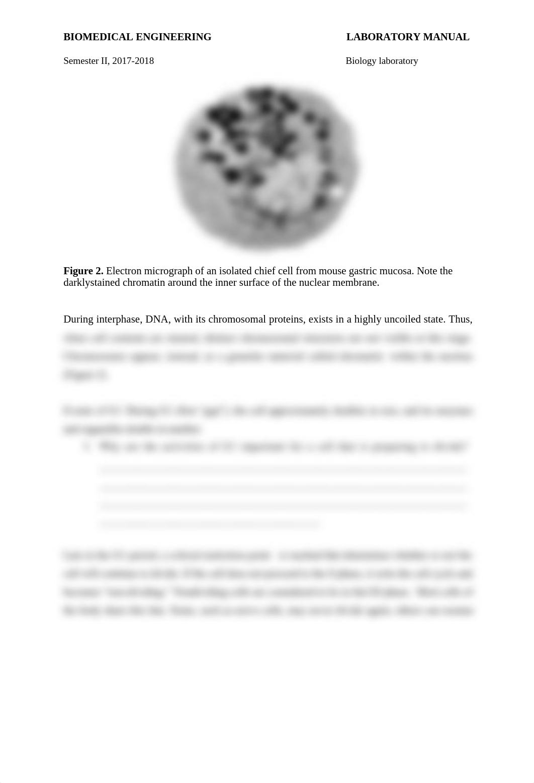 Lab 3.2 - Cell division (Mitosis).docx_d3dg0an8bu3_page3