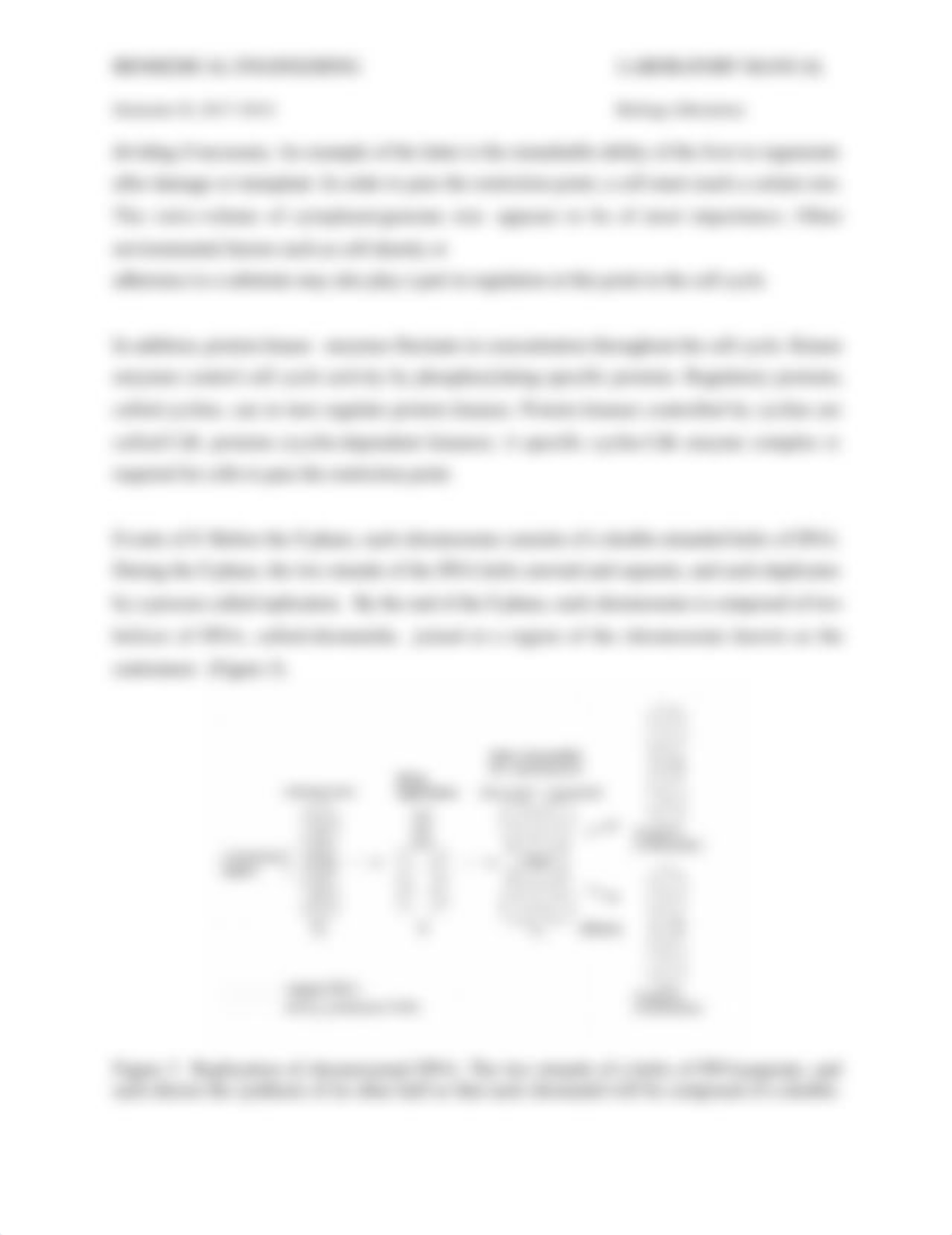 Lab 3.2 - Cell division (Mitosis).docx_d3dg0an8bu3_page4