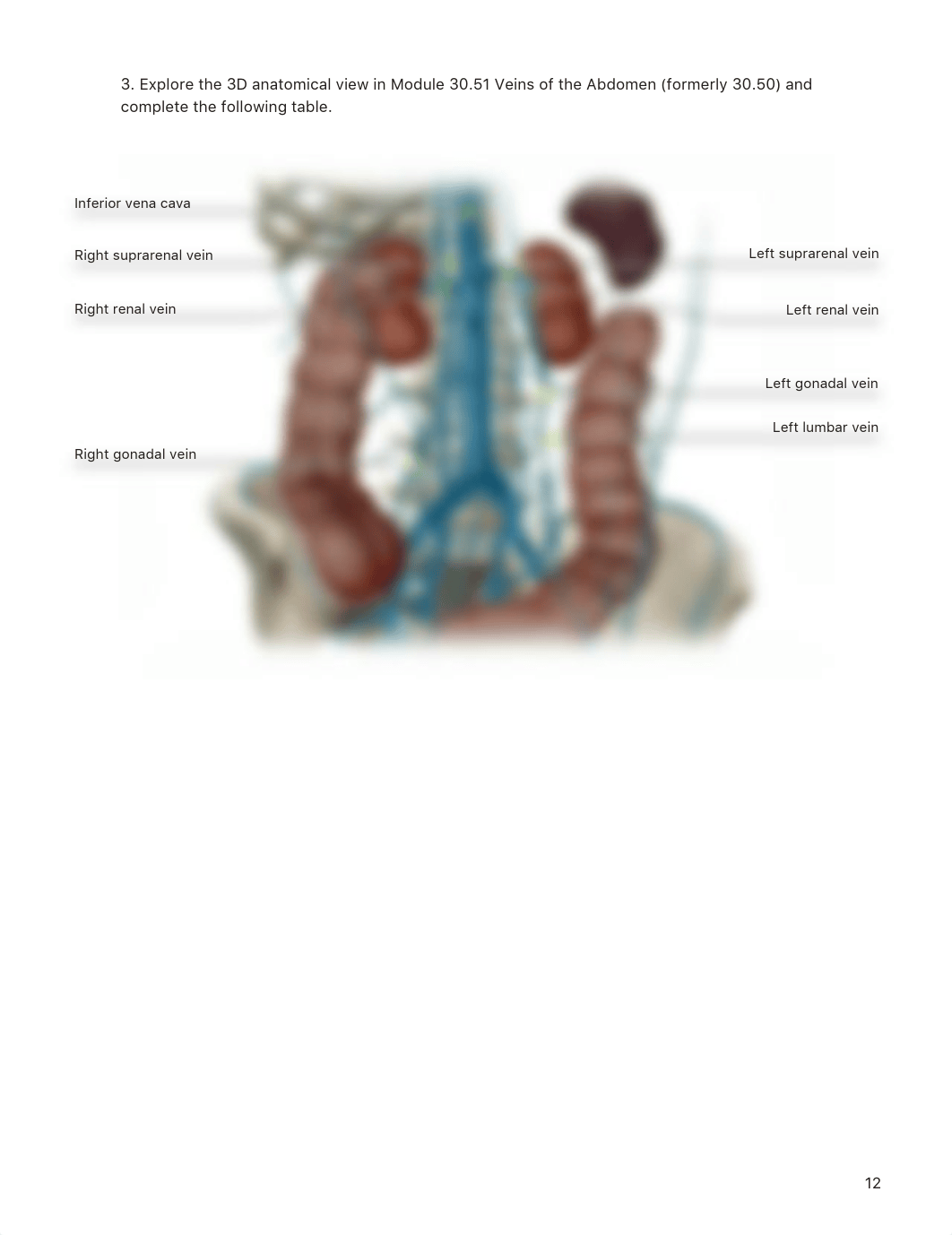 Lab_Activity_-_Blood_Vessels_III.pdf_d3dmmr5xuzw_page2