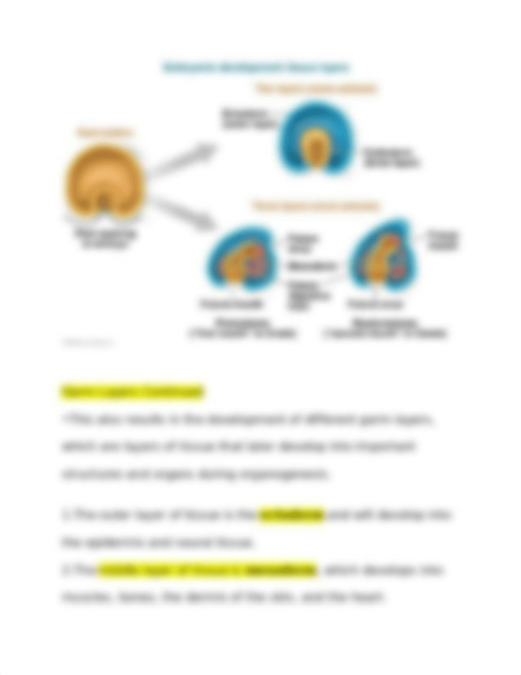 Biology Week 1 01-22-2021.docx_d3dr8utkldw_page5