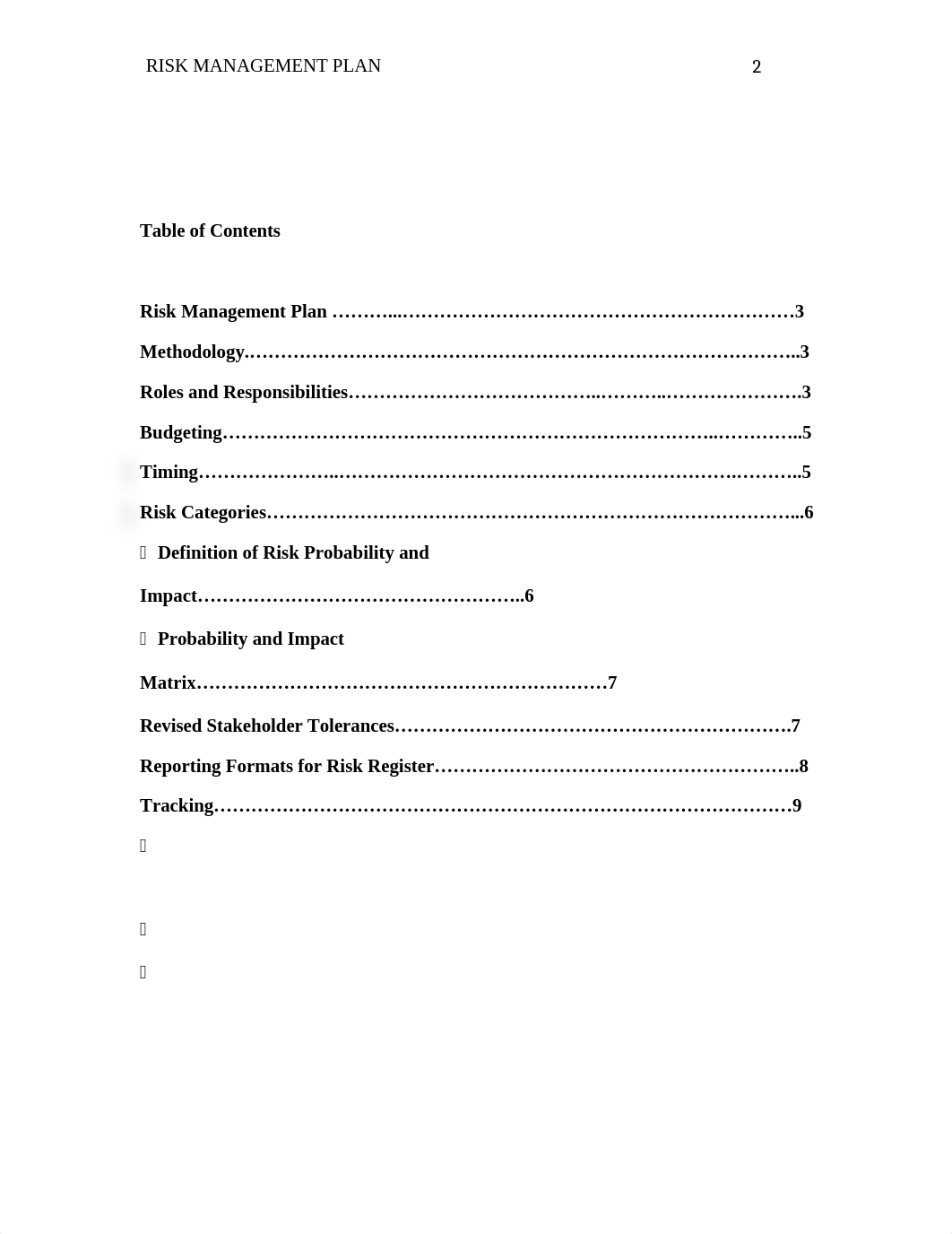 Tm B Risk Management Plan revised.docx_d3dr921h3pu_page2