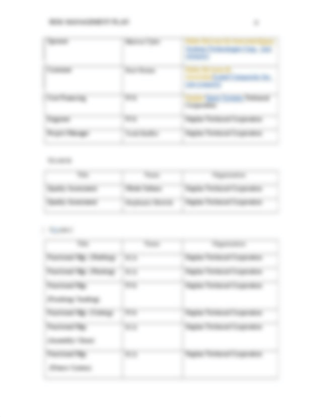 Tm B Risk Management Plan revised.docx_d3dr921h3pu_page4