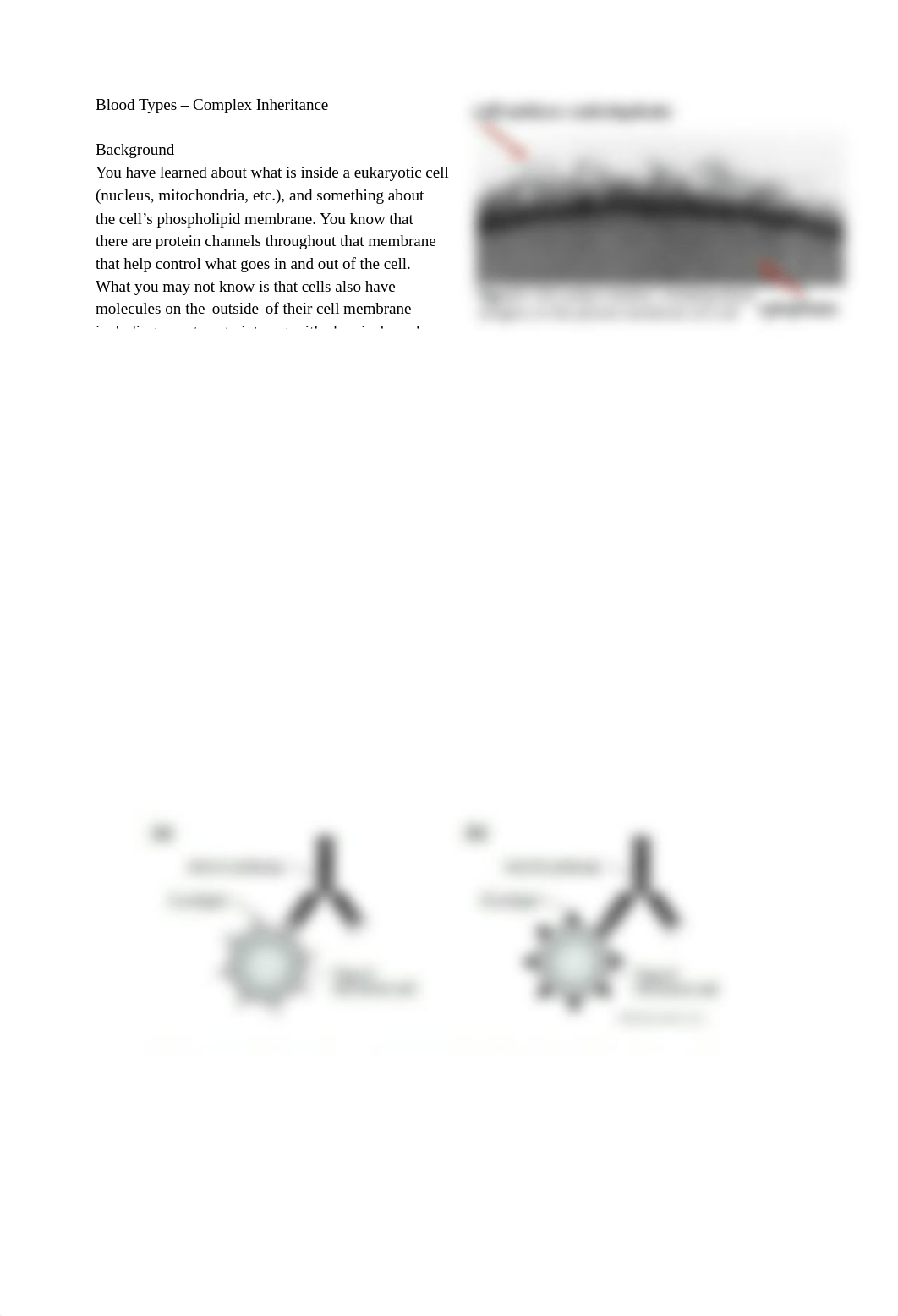 Blood types Lab F20.docx_d3dt1igv1x5_page1