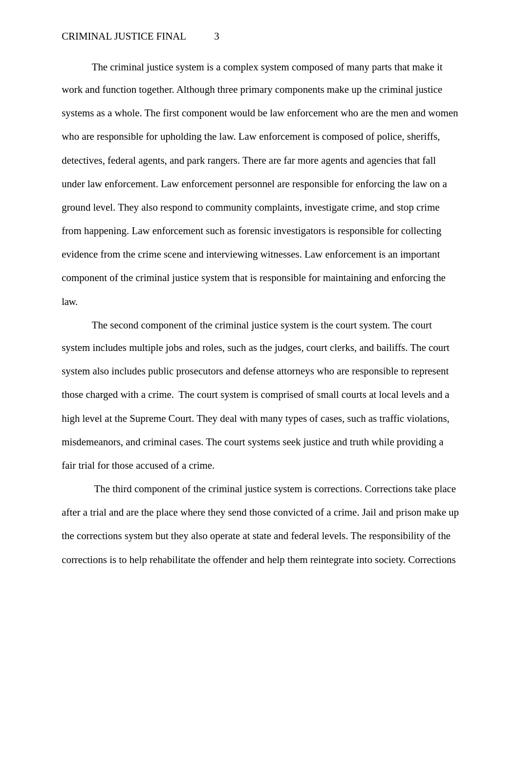 Criminal Justice Final.docx_d3dzixd2tqz_page3