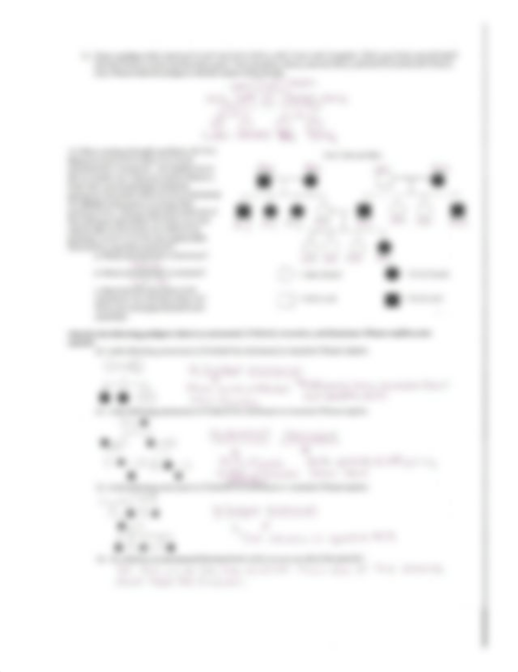 genetics-pedigree-worksheet-answers.jpg_d3dzxg425tu_page1