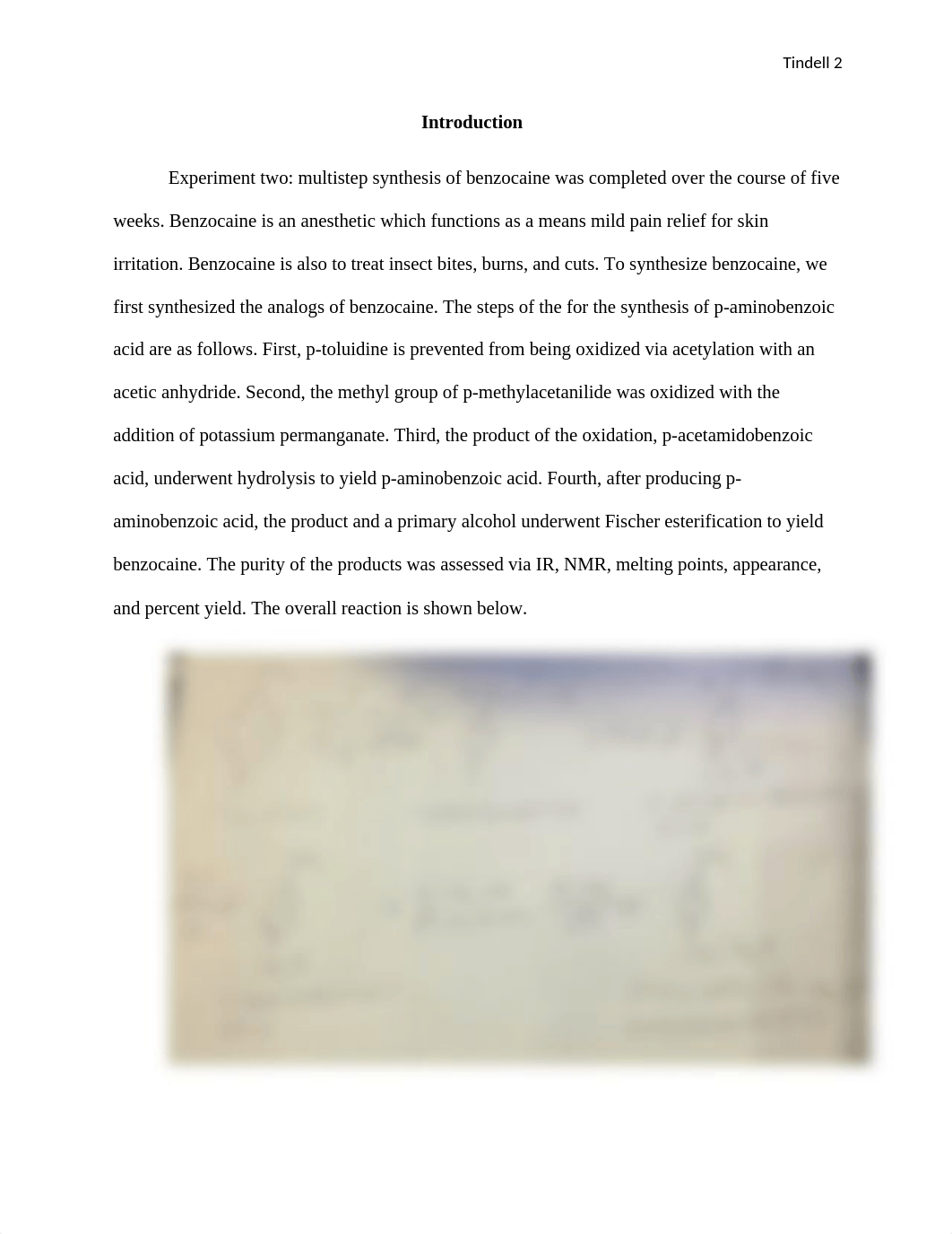 experiment 2 ochem 2 report.docx_d3e8icb6w58_page2