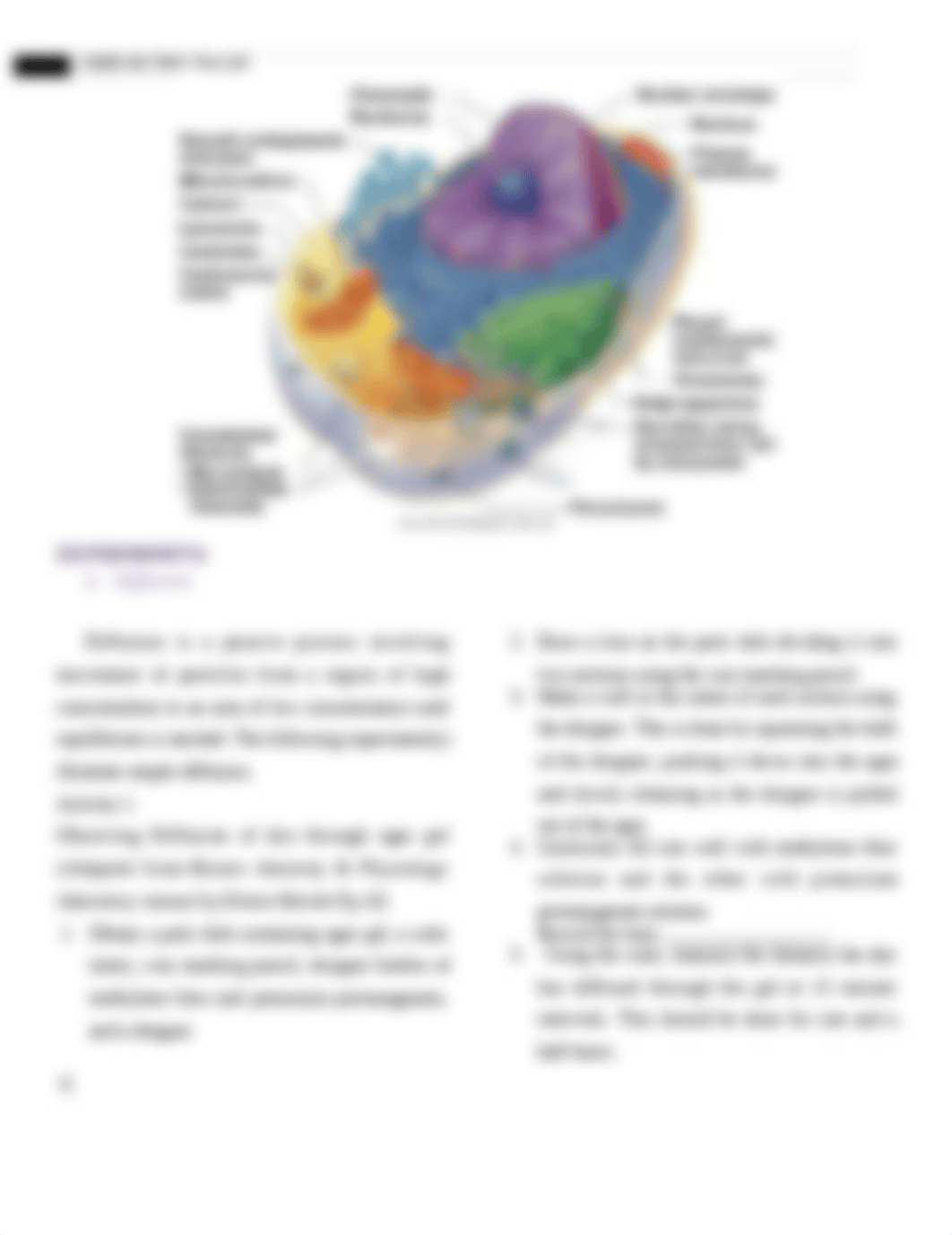 Lab 2 The cell (2)_d3ej3347tci_page2