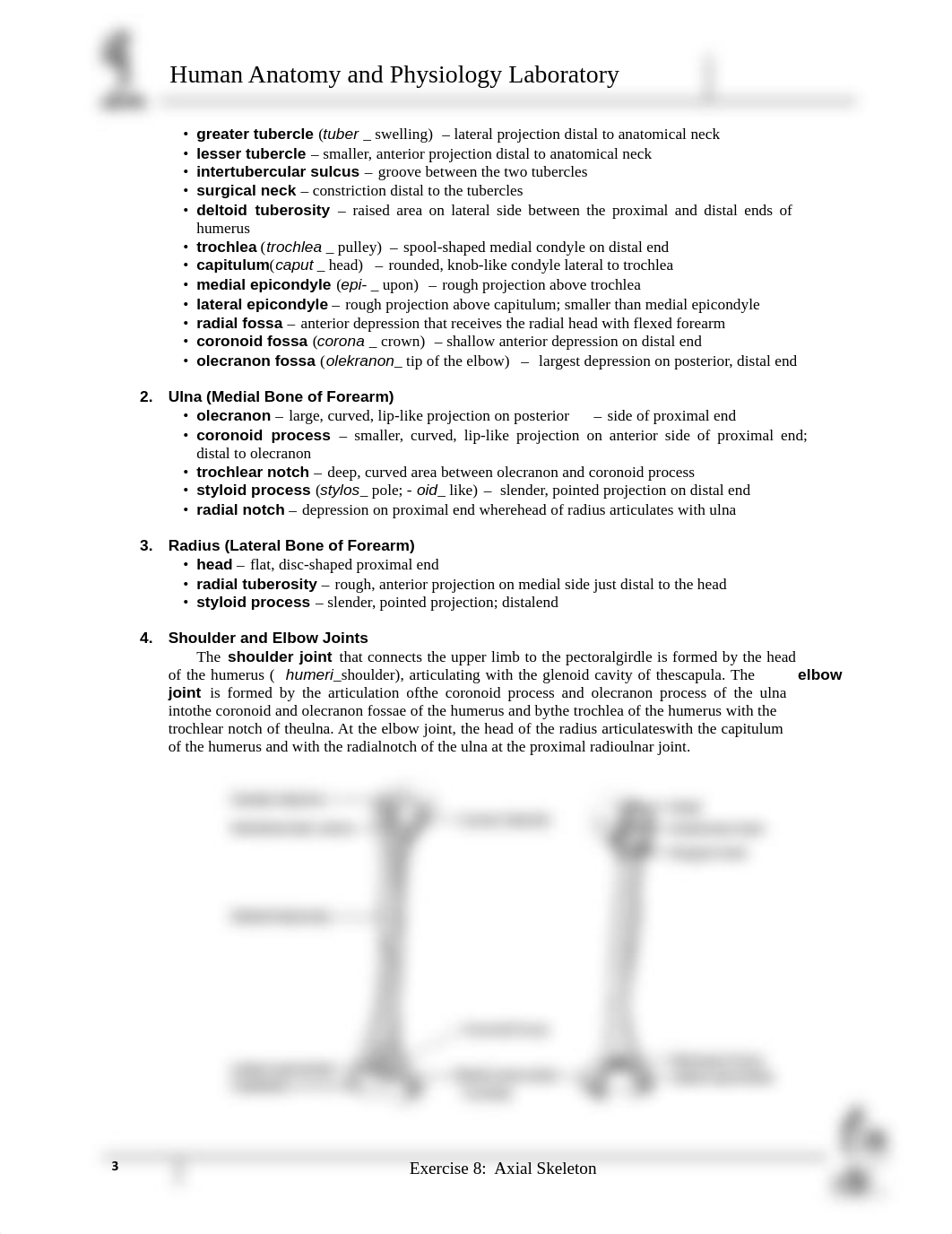 Caduan_Laboratory 8 skeletal system - appendicular skeleton.pdf_d3eokpeb4rt_page3