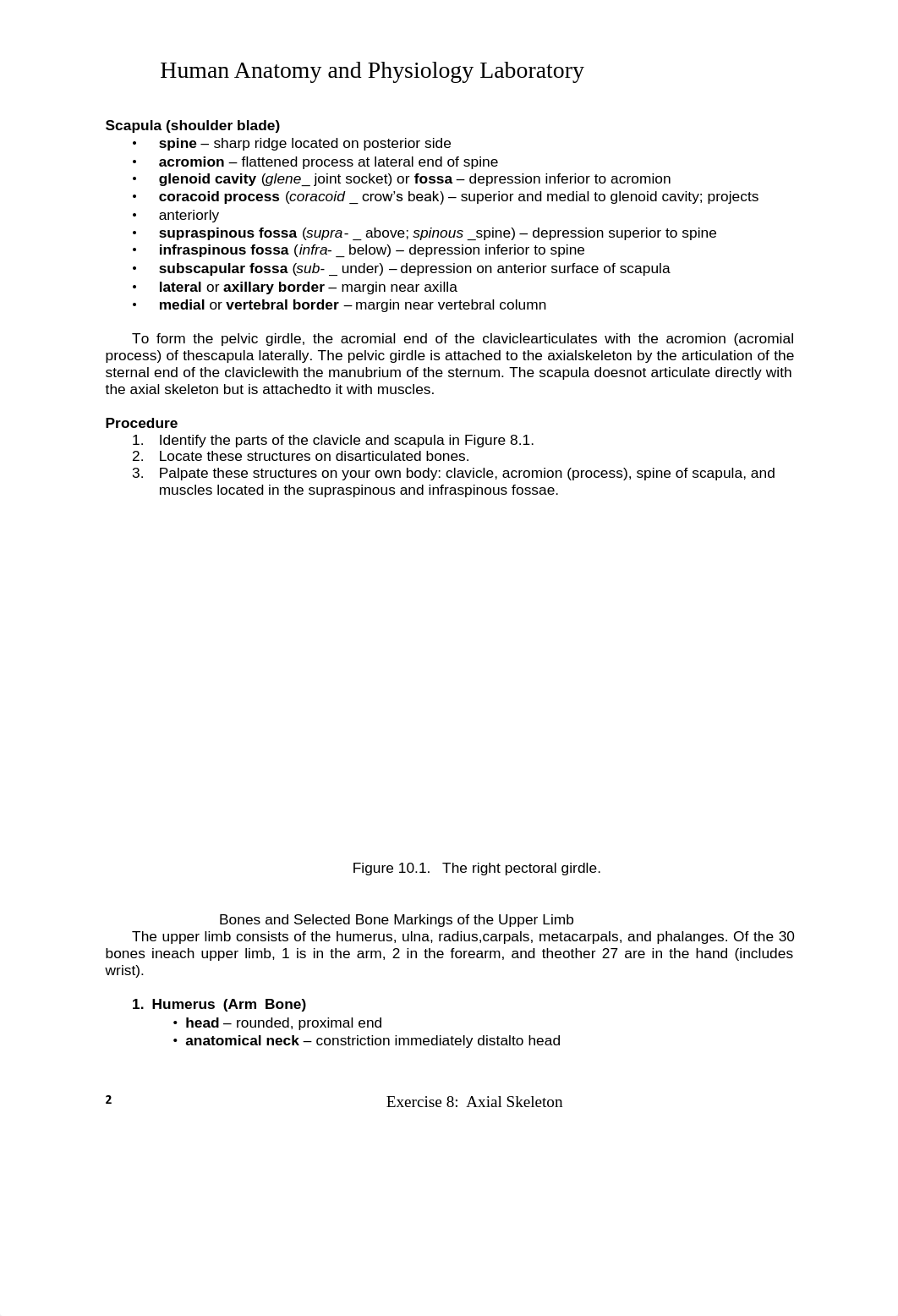 Caduan_Laboratory 8 skeletal system - appendicular skeleton.pdf_d3eokpeb4rt_page2