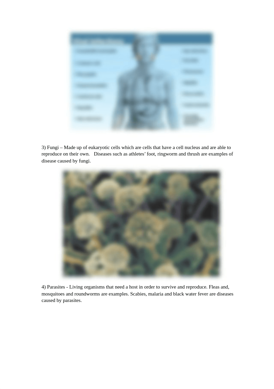 Unit 17 Human Immunity Presentation Script.docx_d3eqlc2fqvu_page2