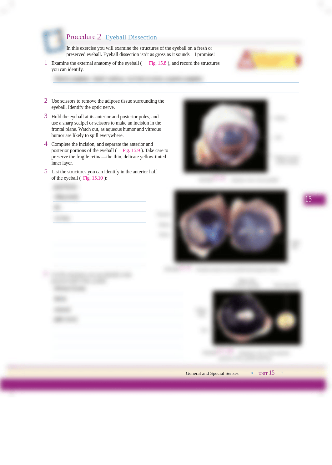 Unit 15 Exercise 15-1 Procedure 2.pdf_d3ewqxv3yug_page1