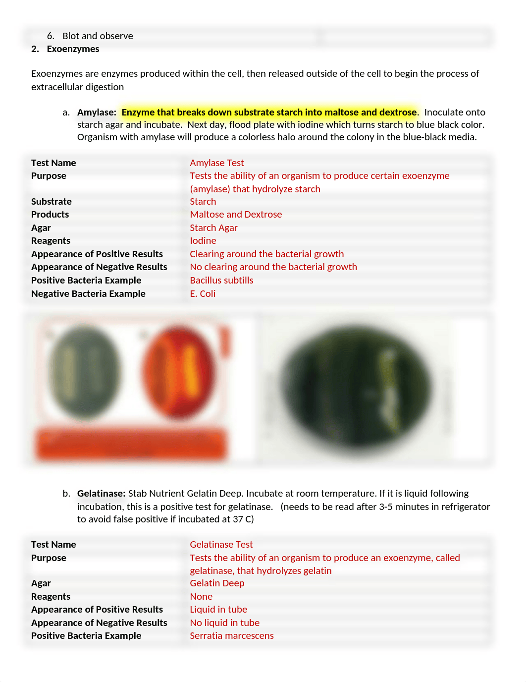 LabPracticalStudyGuide--SP v.3.1 (1).docx_d3f231rrbgy_page2