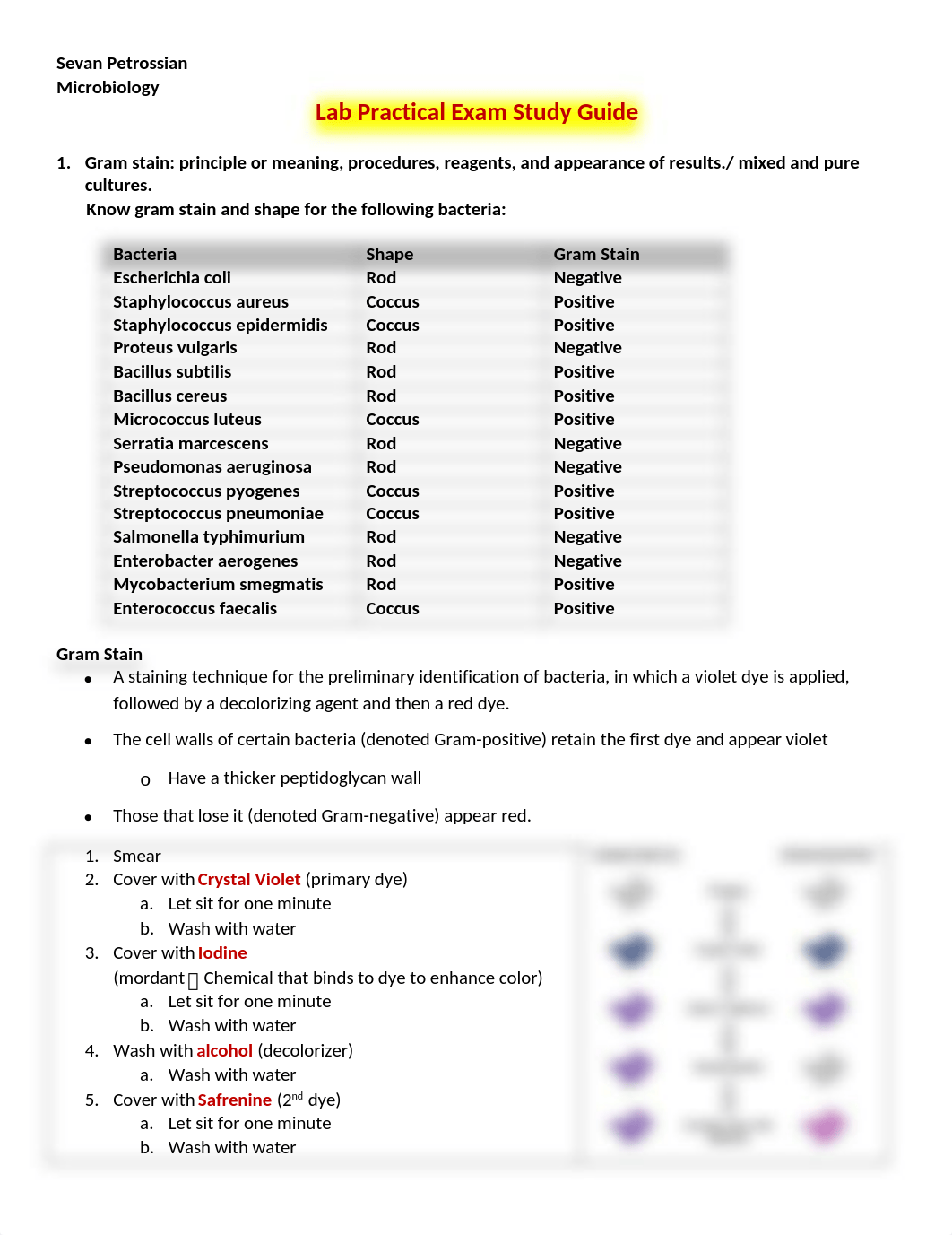 LabPracticalStudyGuide--SP v.3.1 (1).docx_d3f231rrbgy_page1