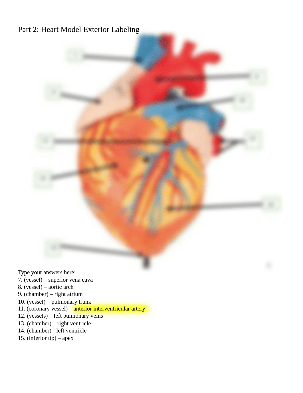 The Heart Lab Student Answer Sheet FIXED.docx_d3f2y02cj9v_page2