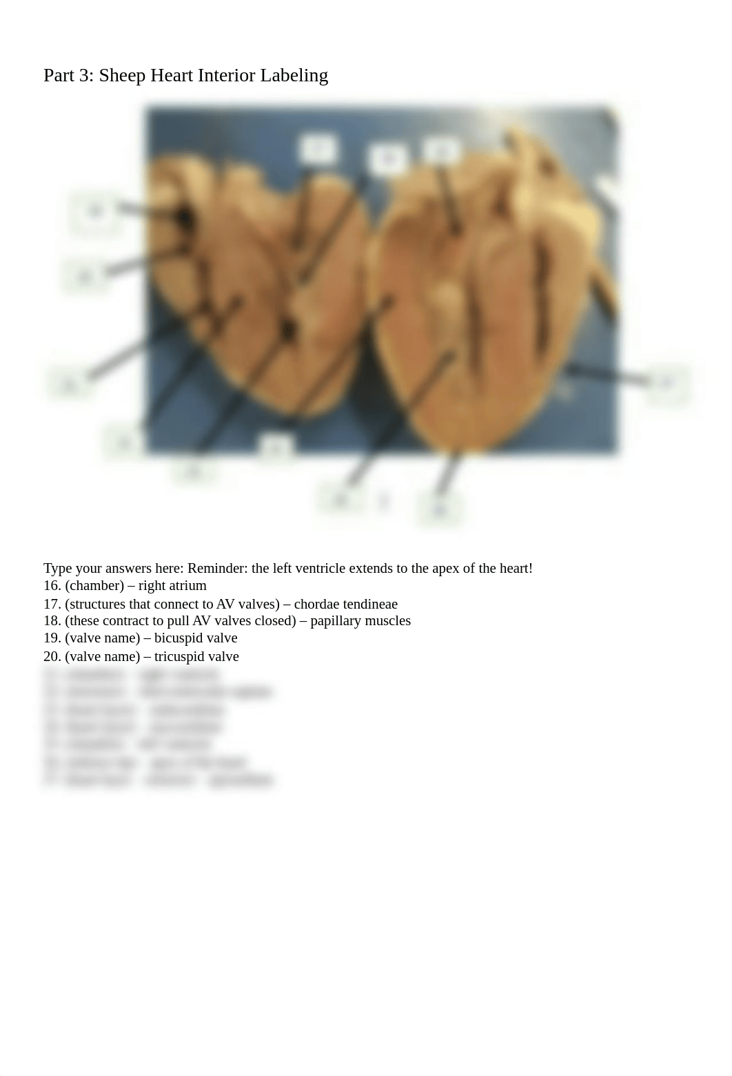 The Heart Lab Student Answer Sheet FIXED.docx_d3f2y02cj9v_page3