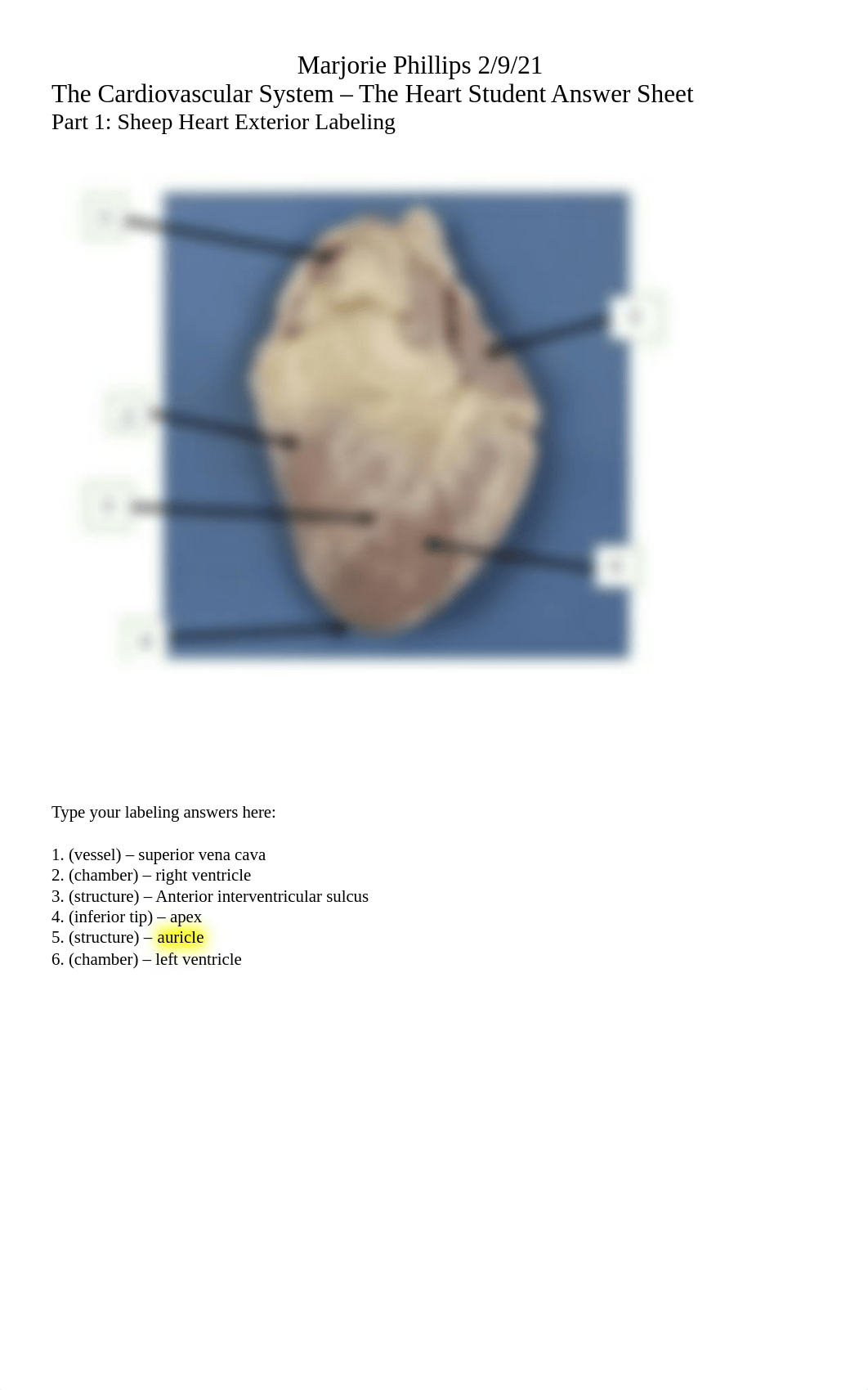 The Heart Lab Student Answer Sheet FIXED.docx_d3f2y02cj9v_page1