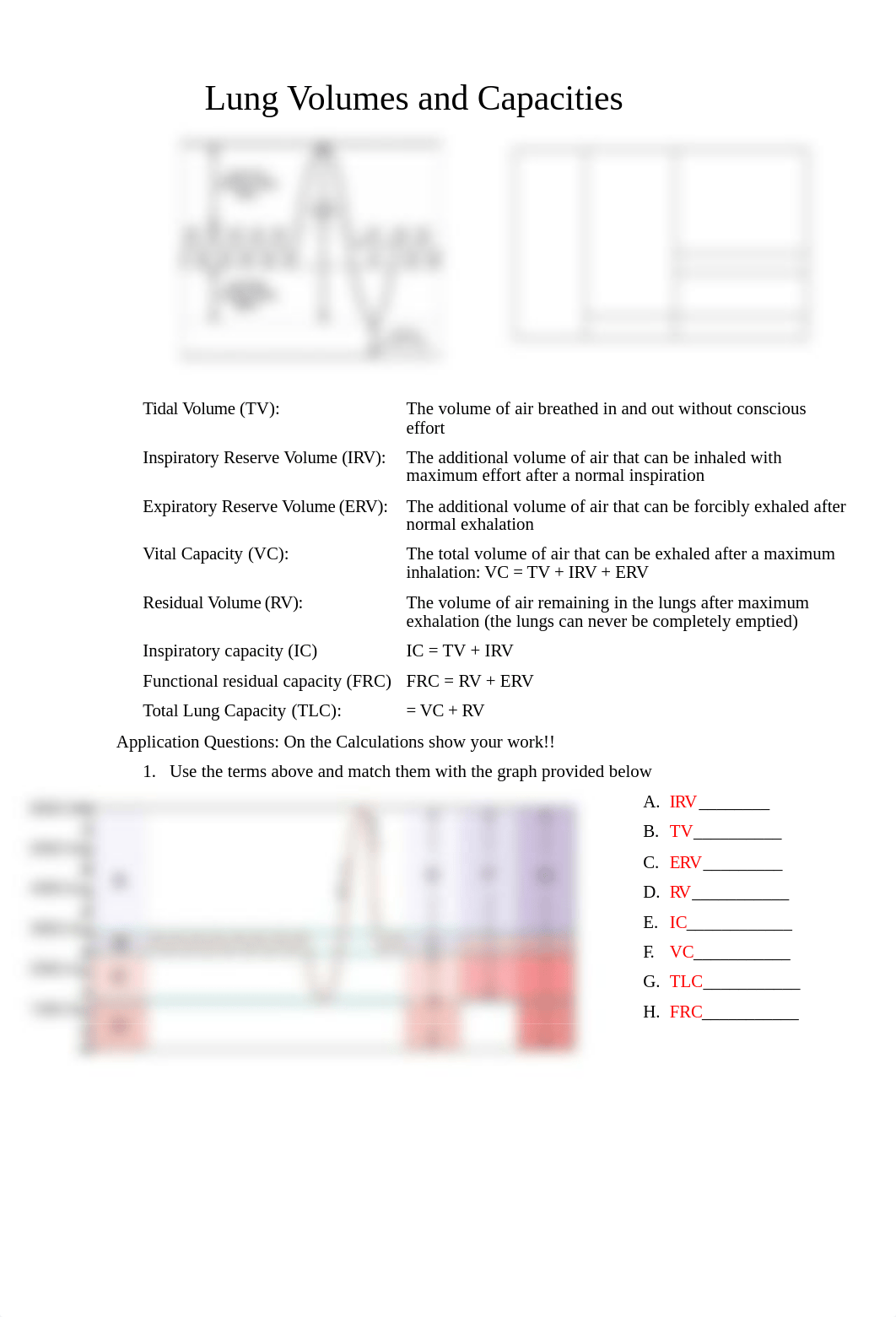 Lab 33_Lung Volumes.doc_d3f4d64zw8o_page1