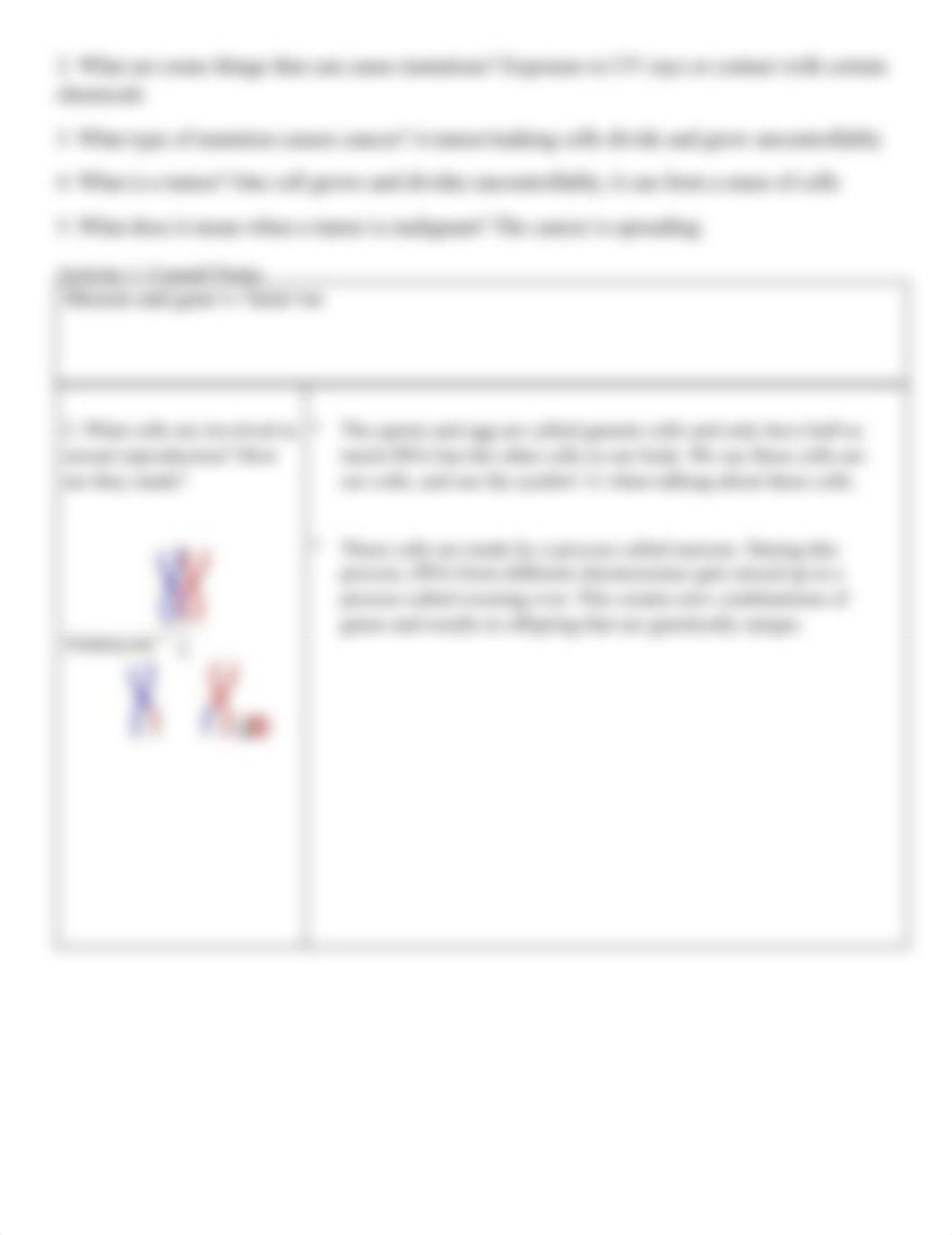 Cell divisiion Review.pdf_d3f6r2zselc_page3