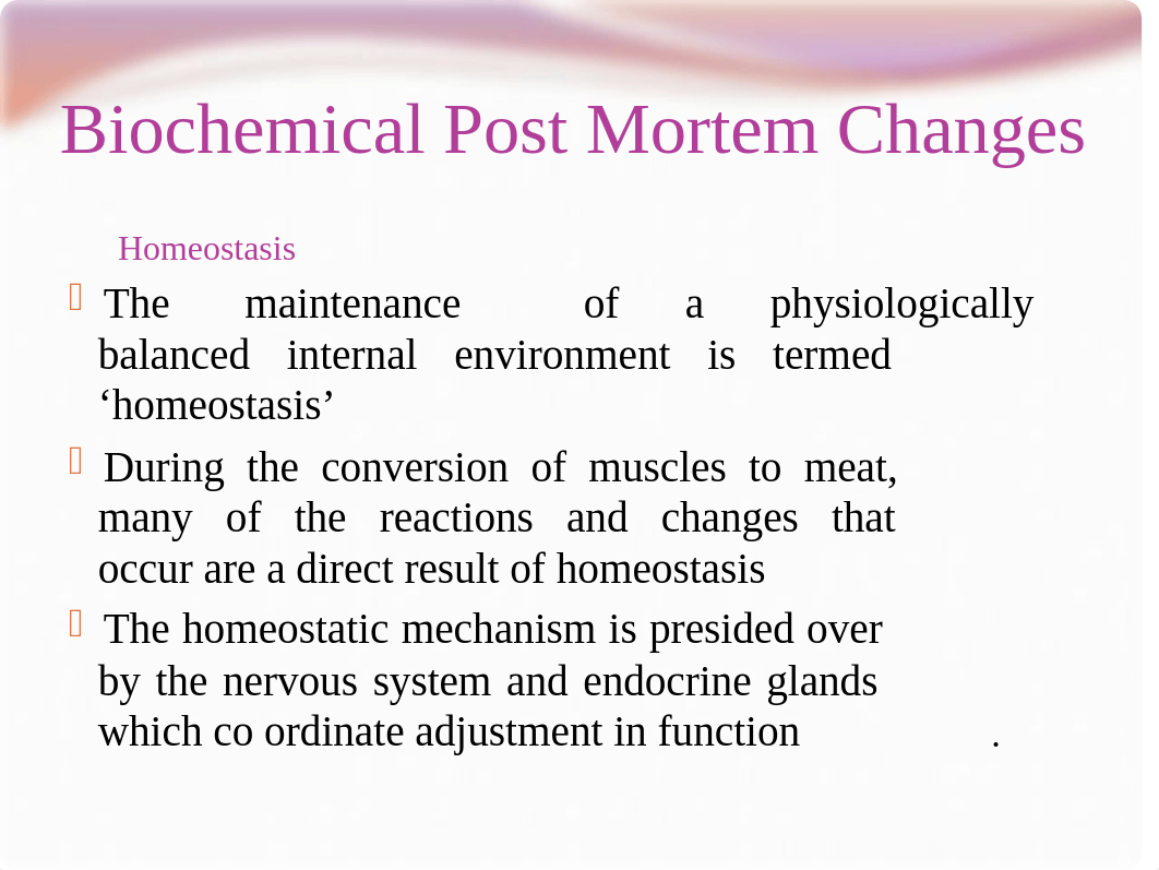 conversion_of_muscle_to_meat.pptx_d3fd618f1h7_page3