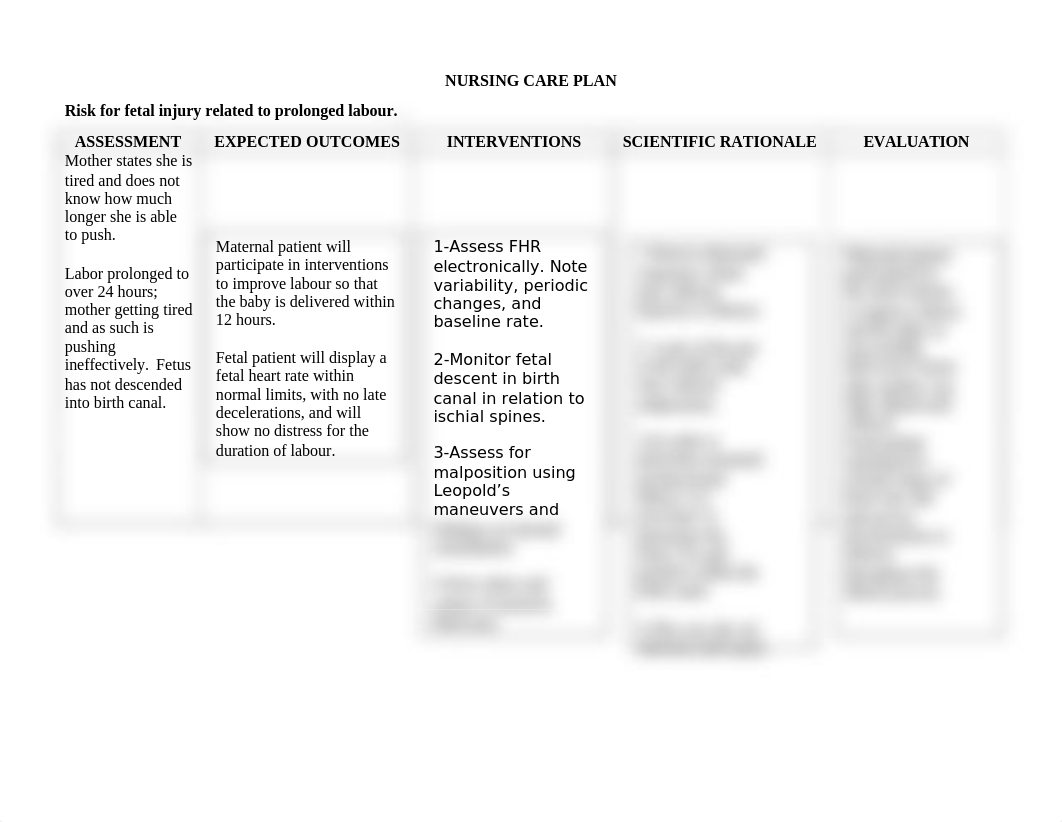 care plan - fetal injury and prolonged labor.docx_d3fkrhx1p3w_page1