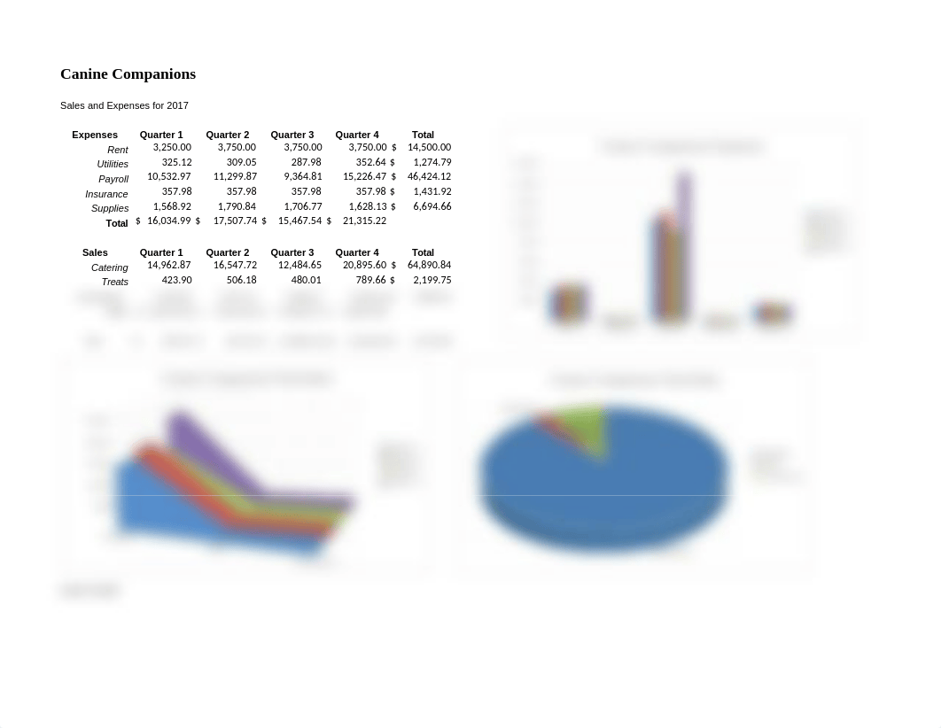 EX 4-Canine Companions Expense Analysis.xlsx_d3flncksskl_page1